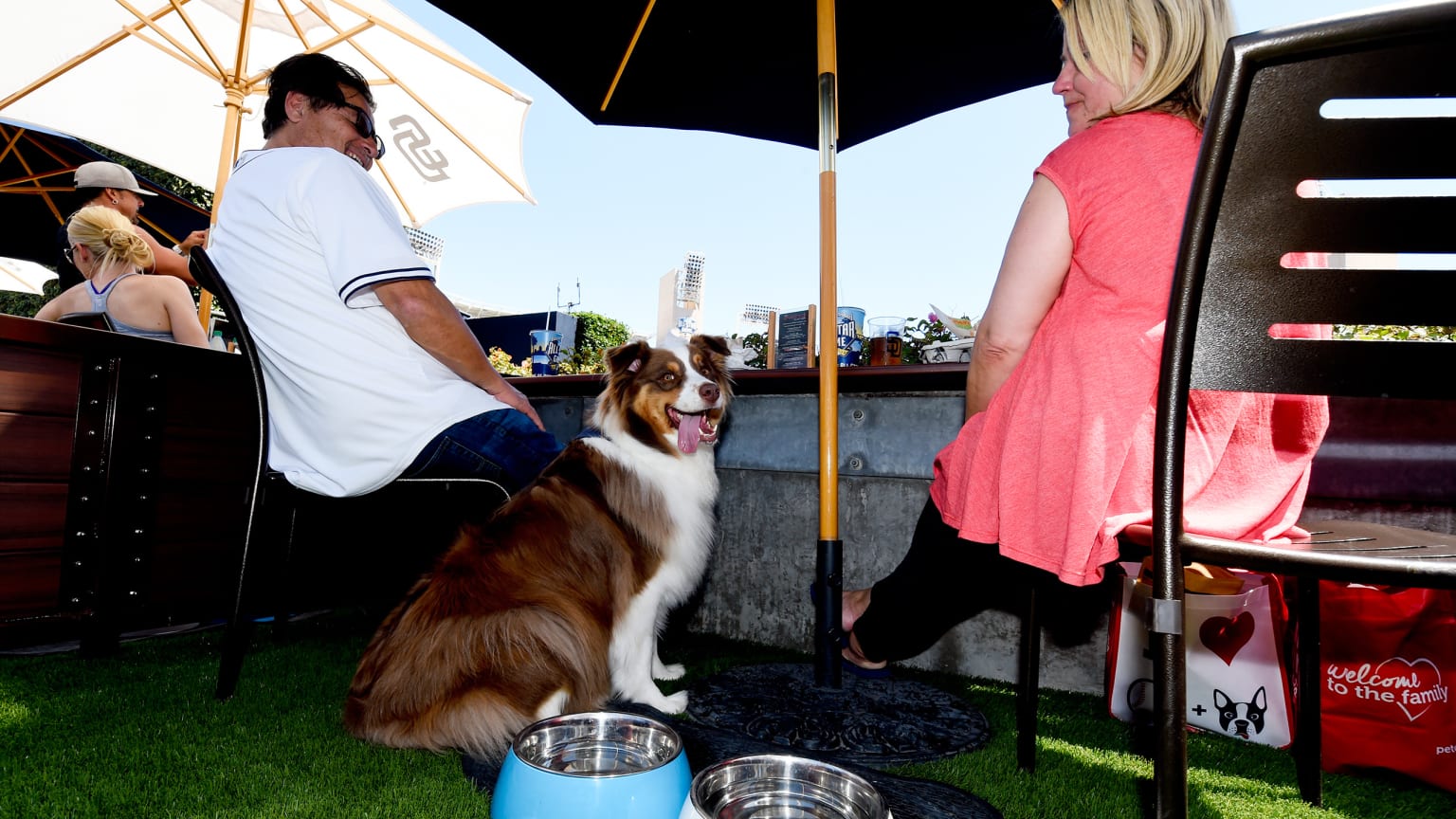 San Diego Padres Bark at the Park - DogTrekker