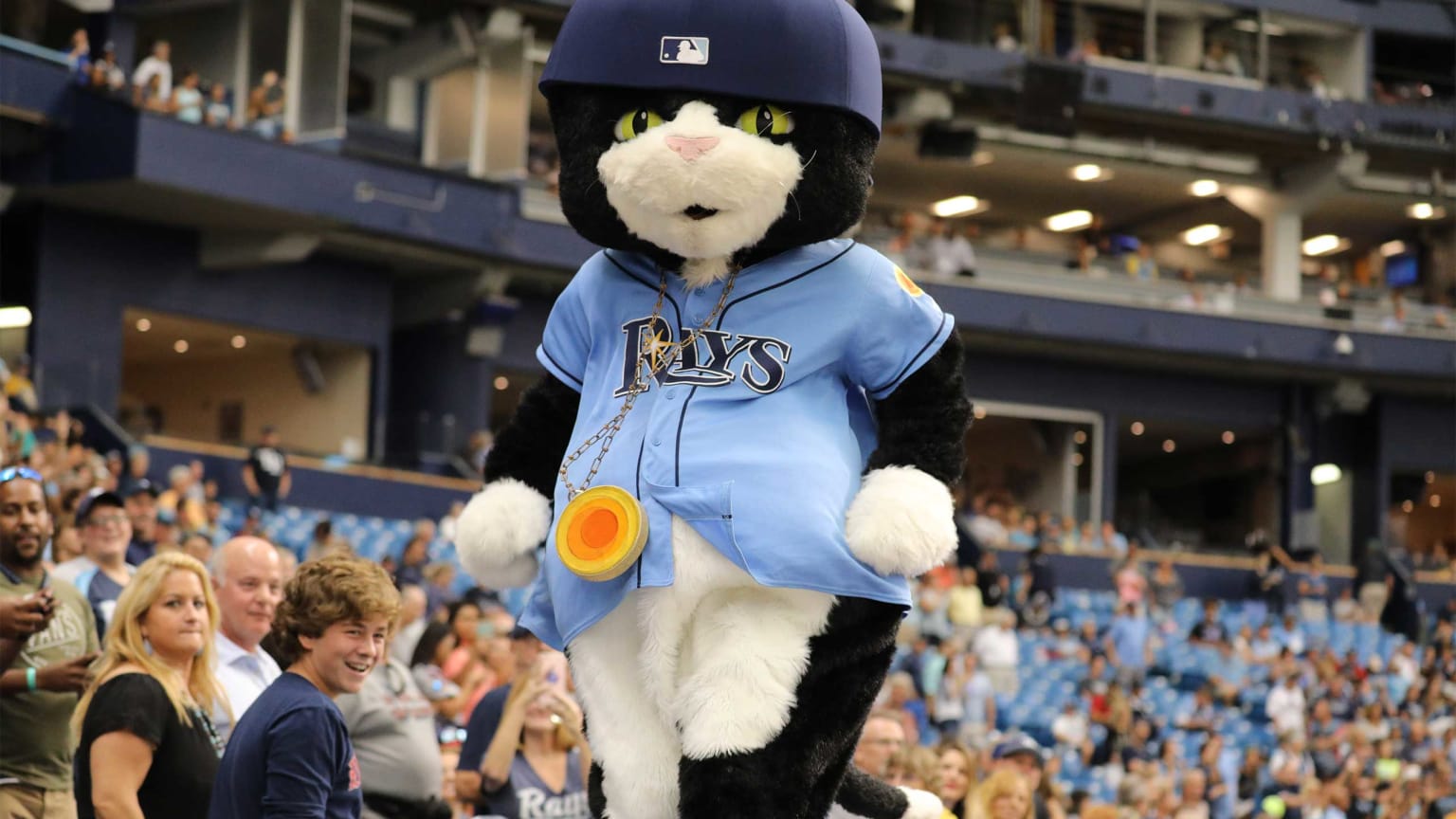 Tampa Bay Rays on X: @tigers DJ Kitty is a better cat than Paws.   / X