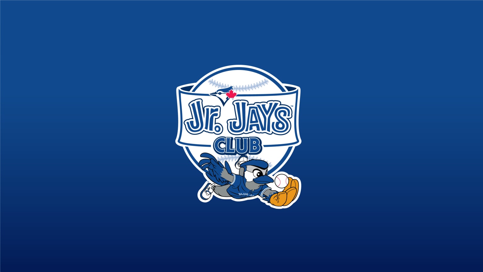 Baby Blue Jays unveil new logo, unis - Ballpark Digest