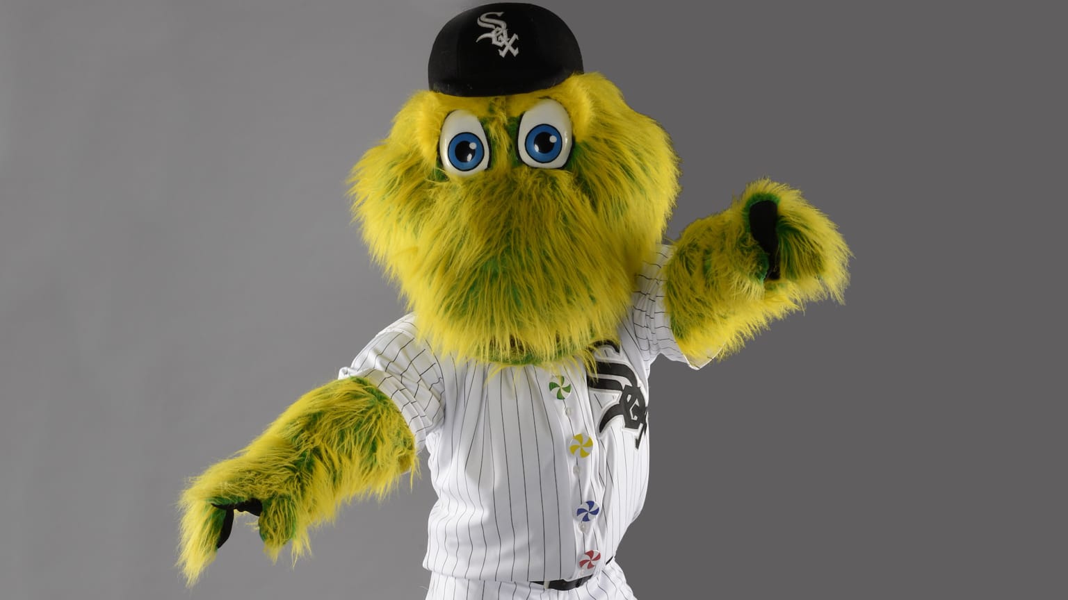 The Chicago White Sox mascot Southpaw wears a yellow rain jacket and  News Photo - Getty Images