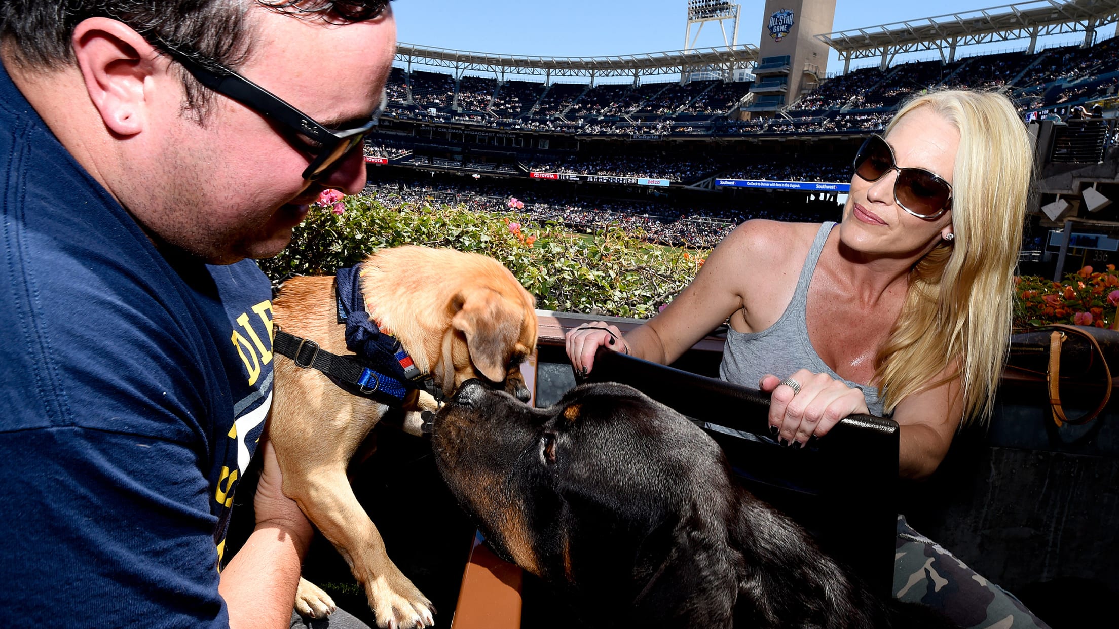 San Diego Padres on X: What the dog doin  / X