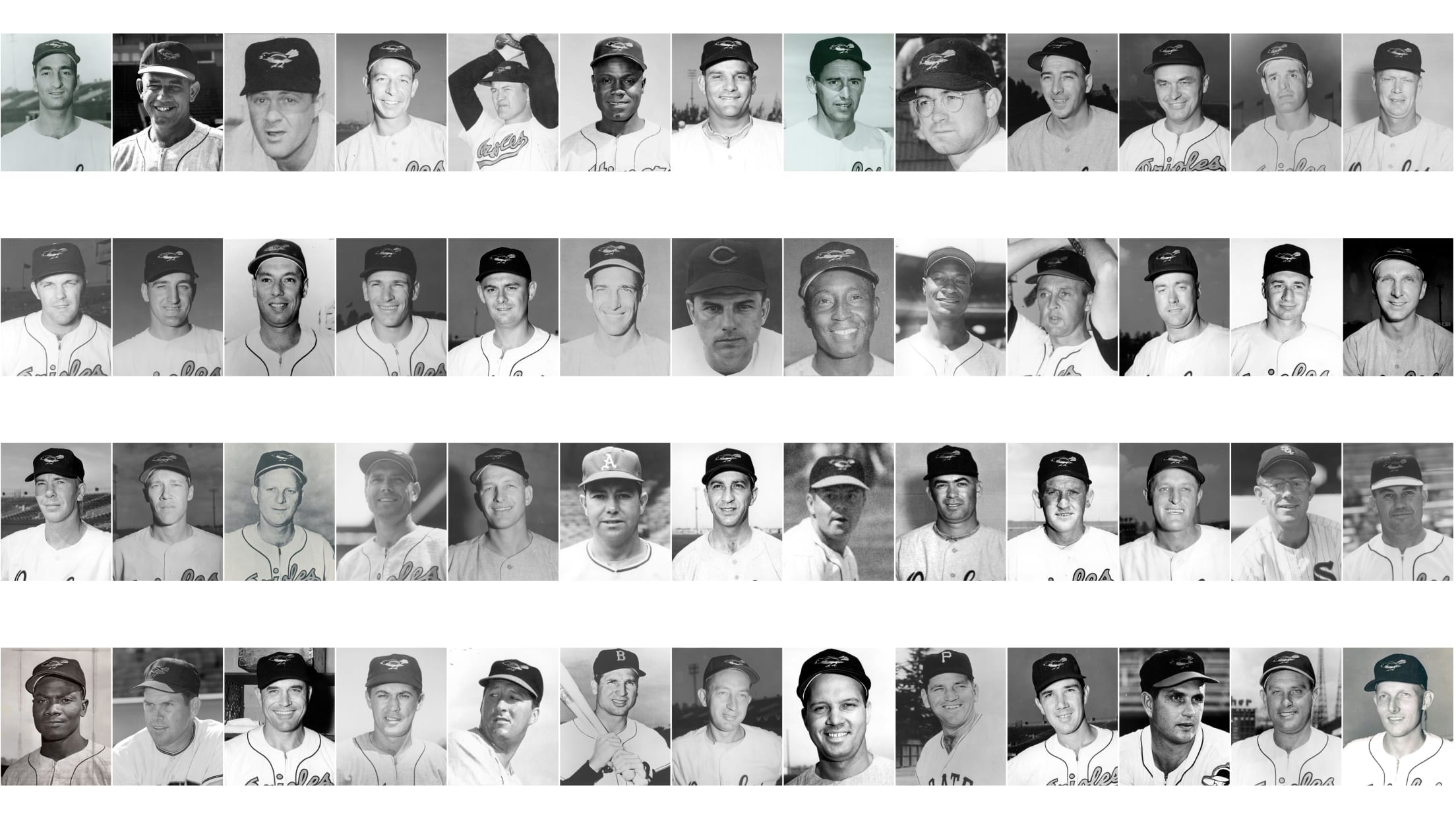 Veterans Day Special