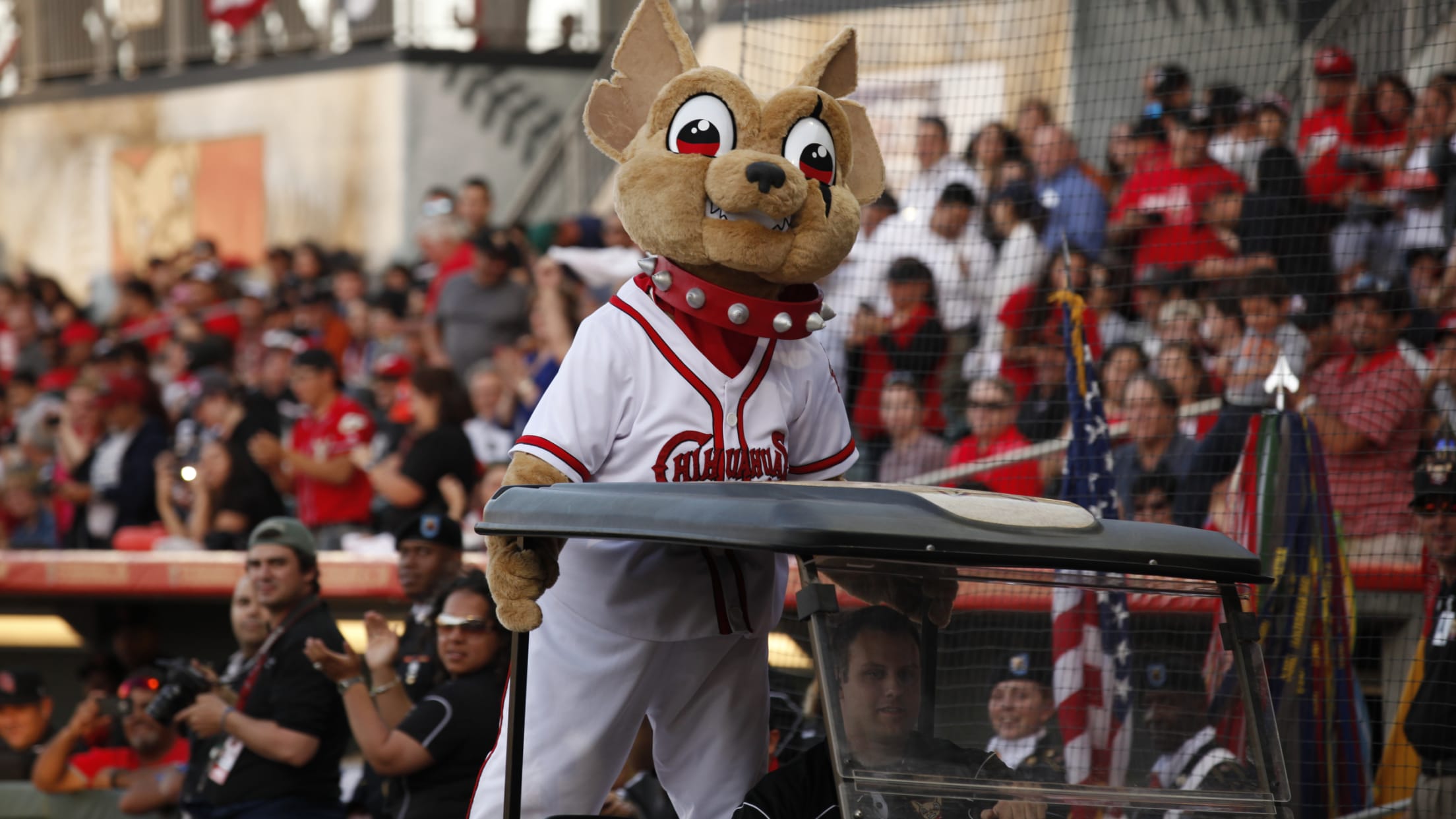 Chihuahuas' Nickelodeon Night brings out families to Southwest University  Park