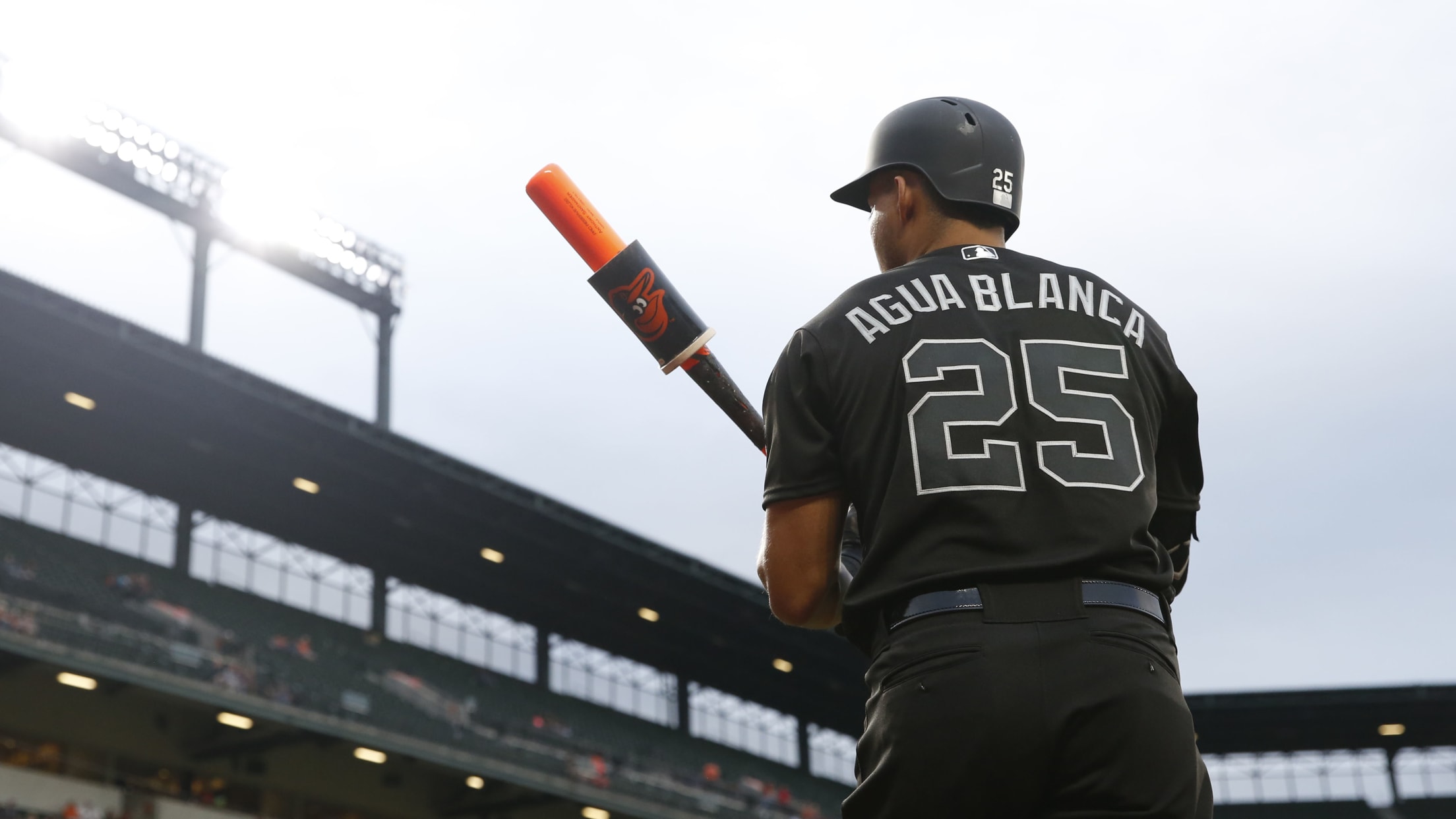 009Questions with Anthony Santander