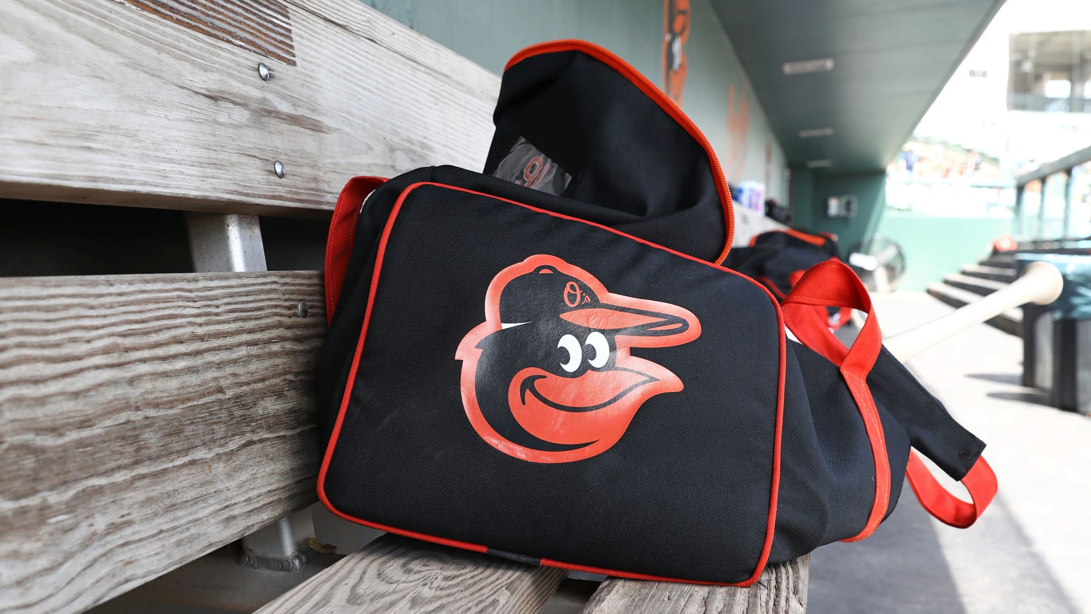 bal-spring-training-week-one-071