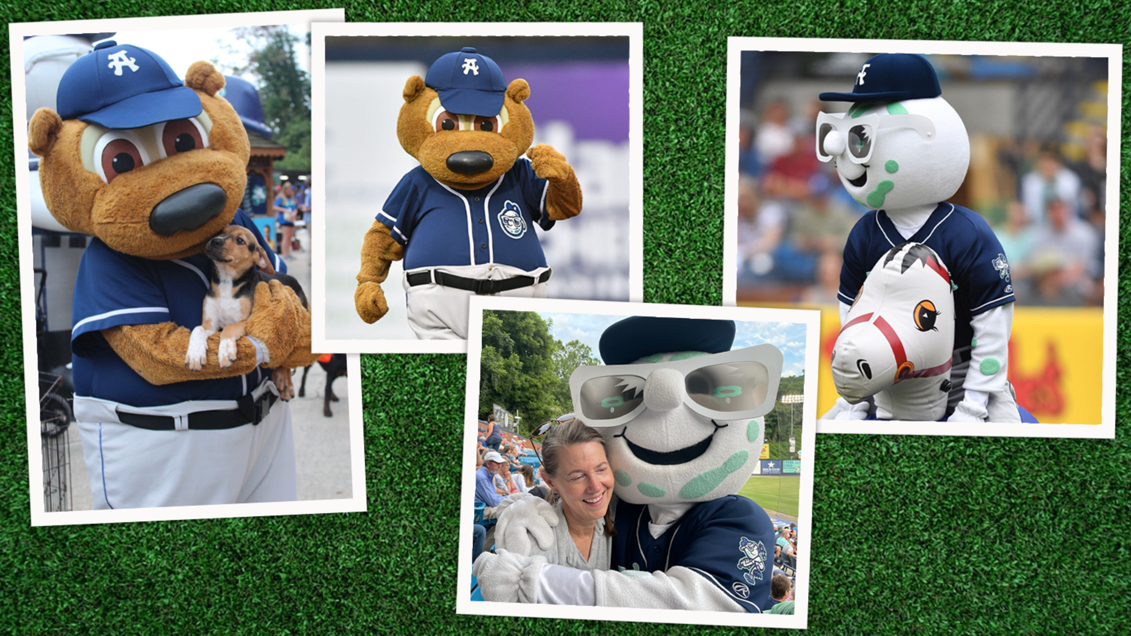 mascot collage