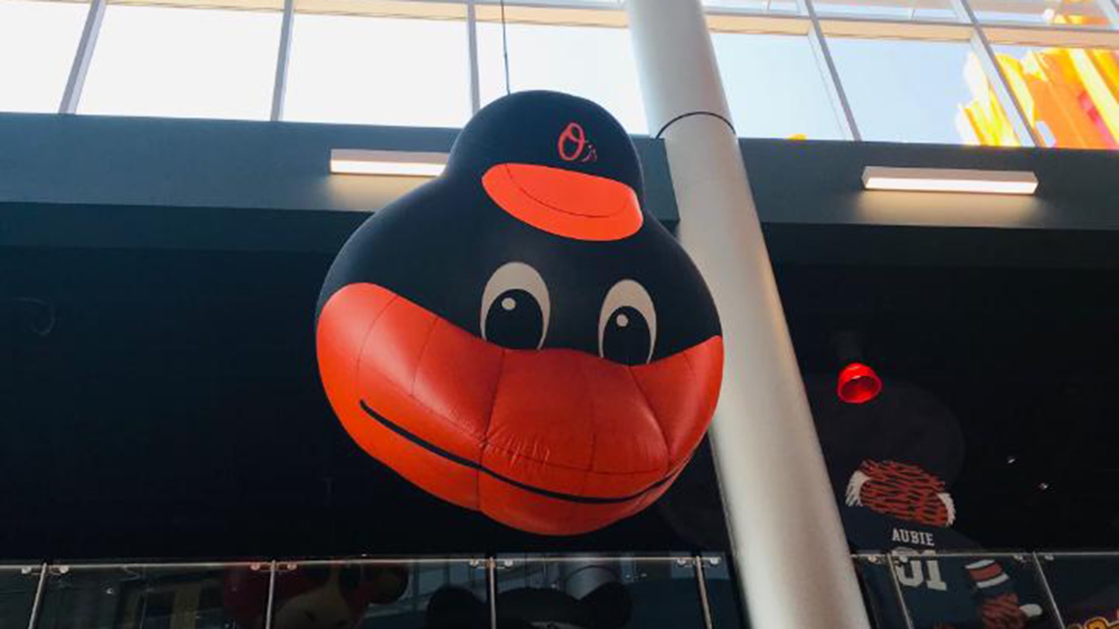 bal-the-bird-is-back-006