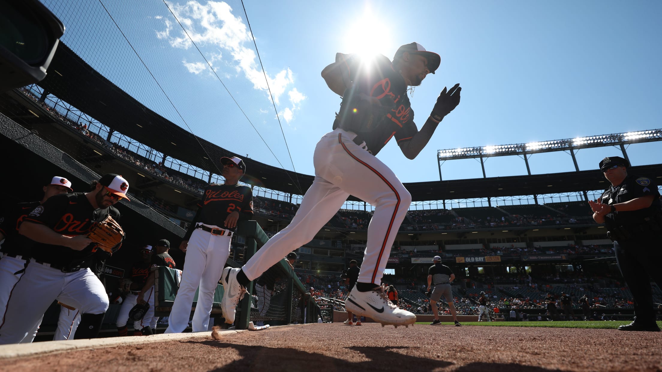 Homestand in Focus  617 - 622-012