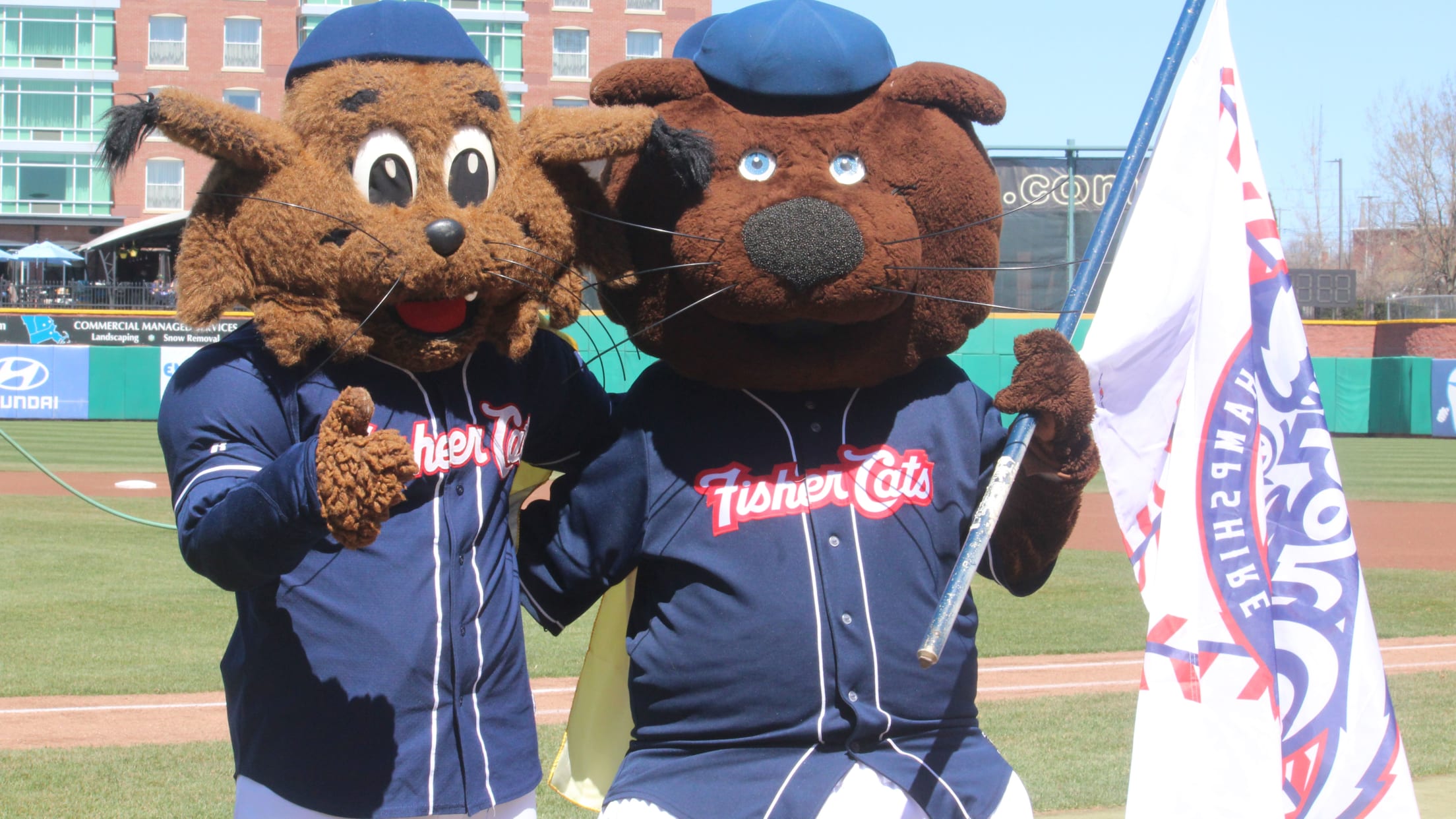 Fisher Cats: Like fathers, like sons, Fisher Cats