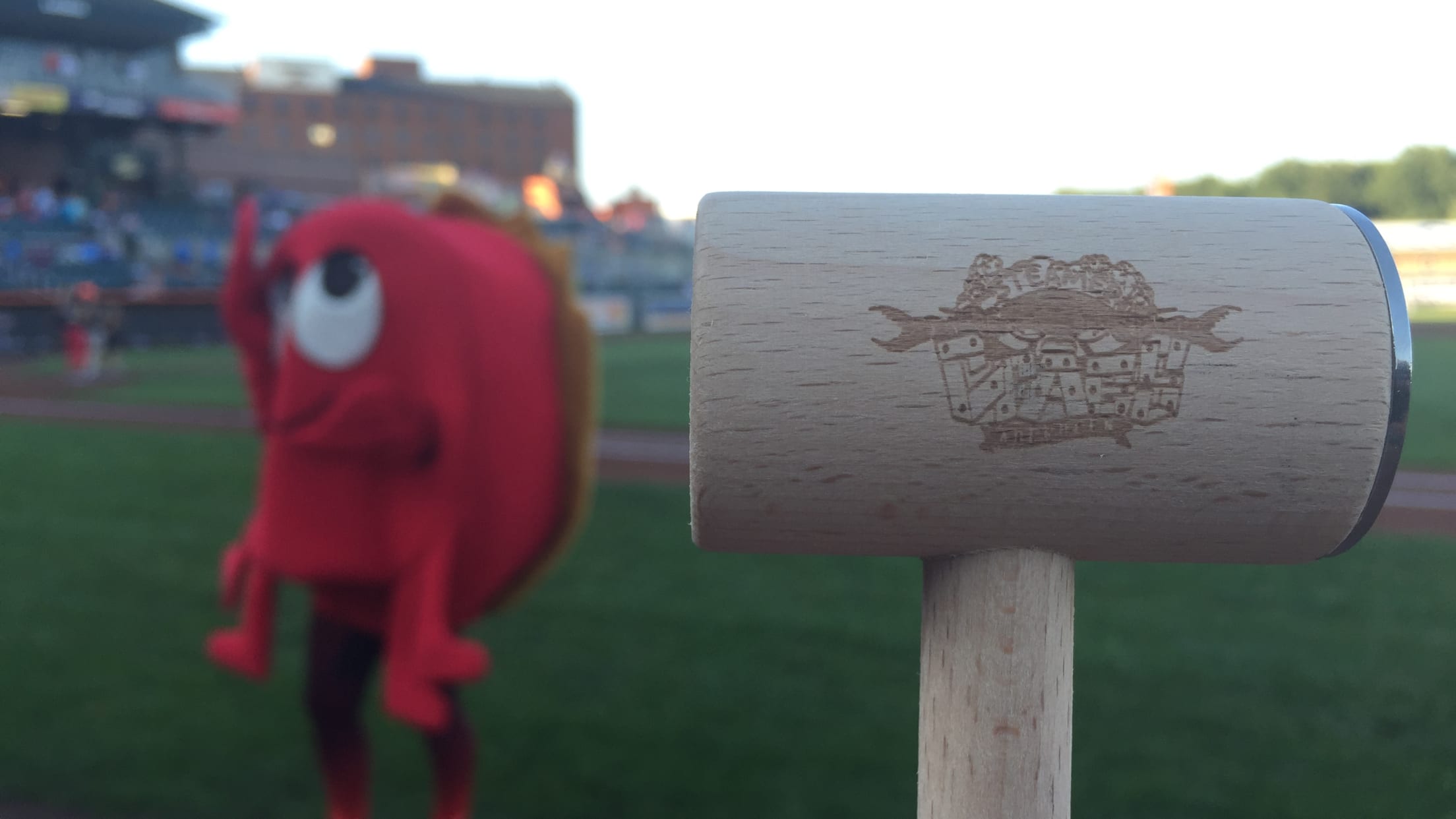 Arkansan has bird's-eye view as Astros' mascot