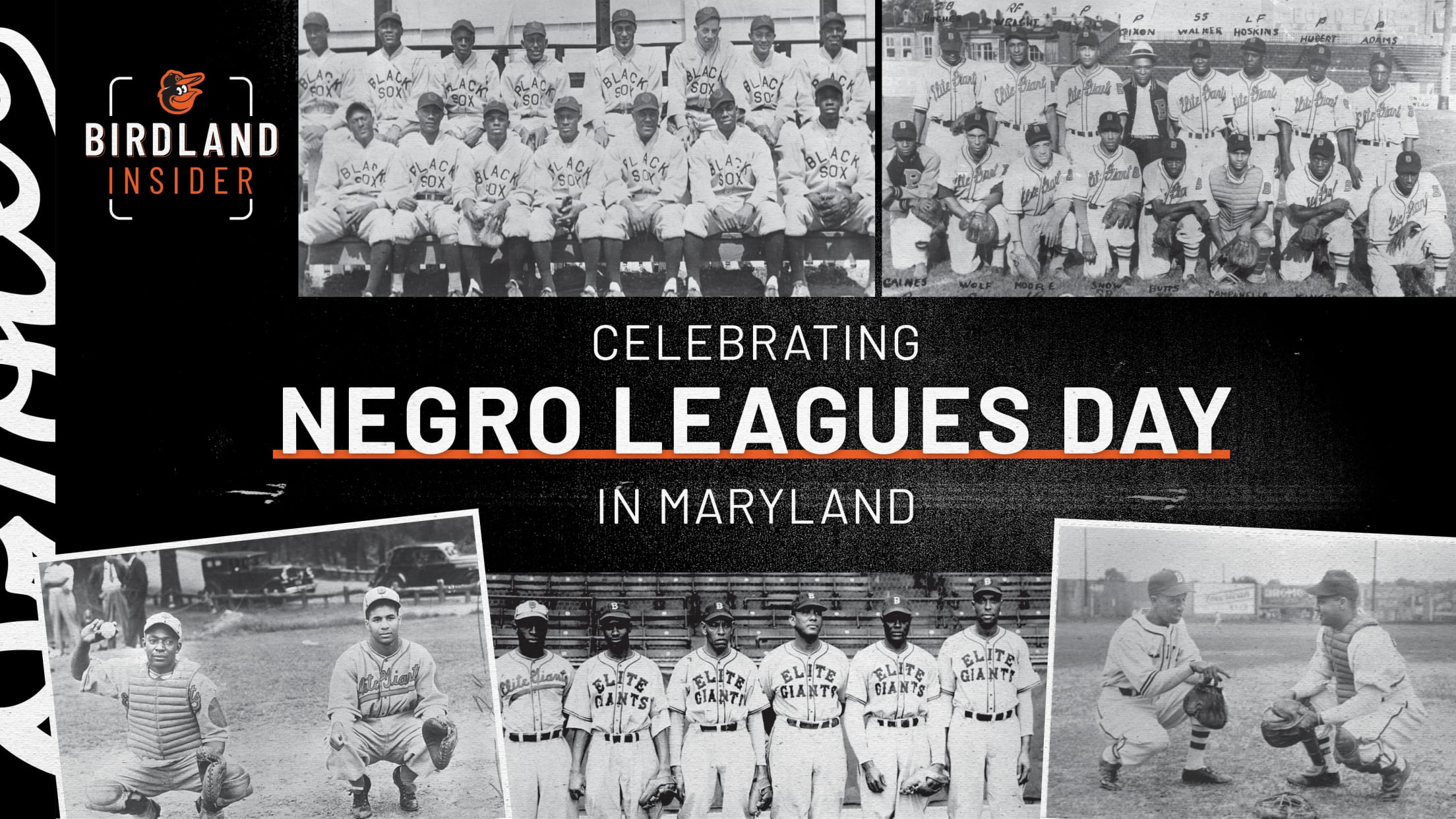 Dick Wehner on X: Black History Month sporting my Negro Leagues