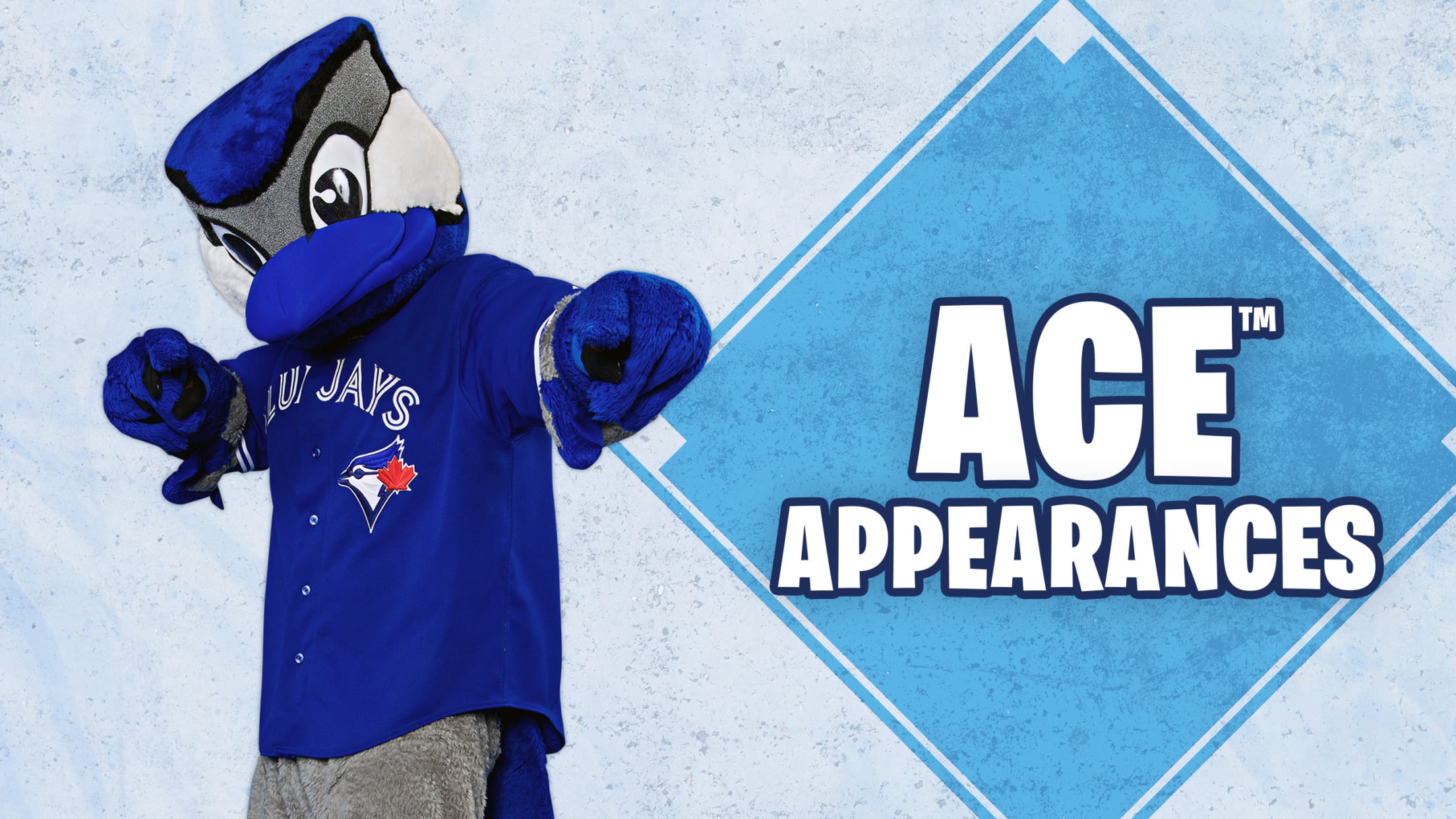 ACE Appearances | Fans | Toronto Blue Jays