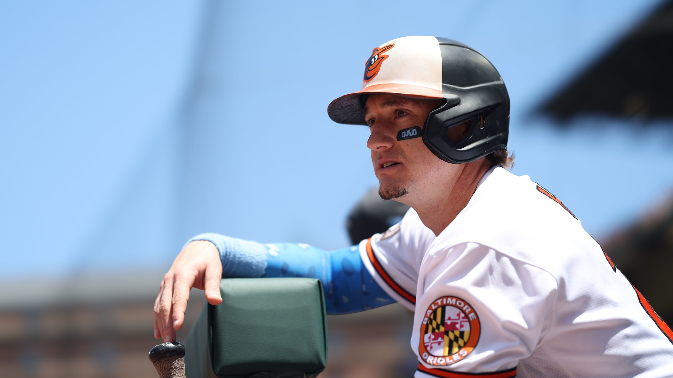 Homestand in Focus  617 - 622-020