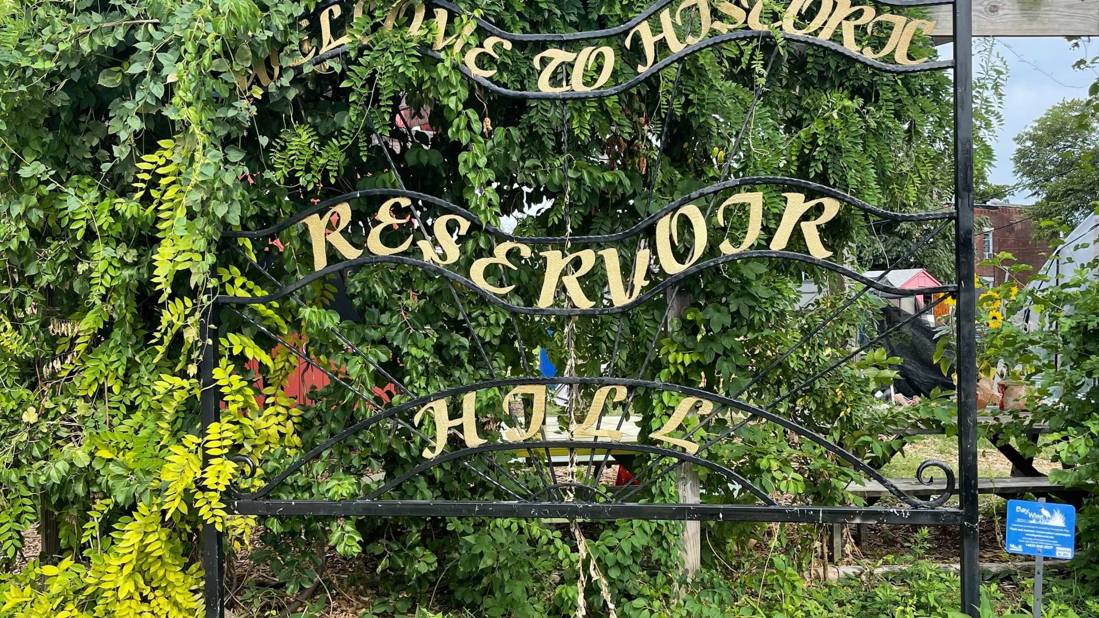 bal-whitelock-community-farm-1