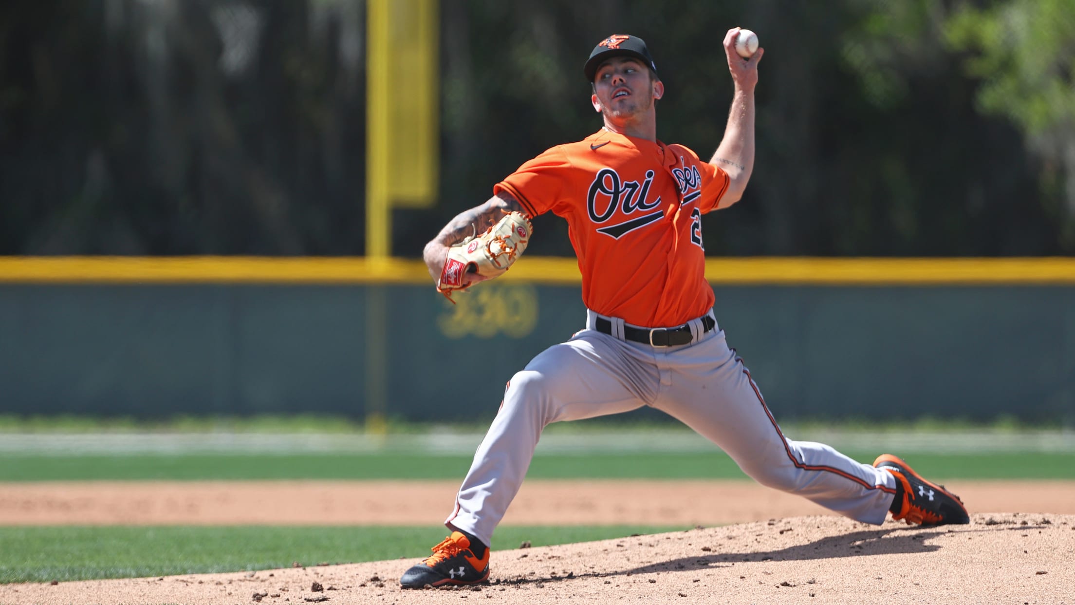 bal-top-10-orioles-prospects-009