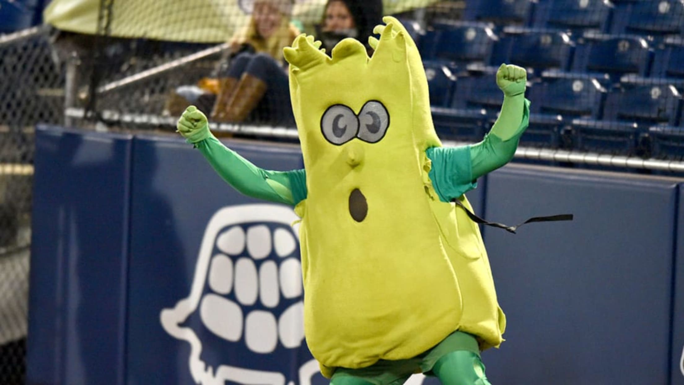 The Brooklyn Cyclones mascot salutes Airmen from Joint Base