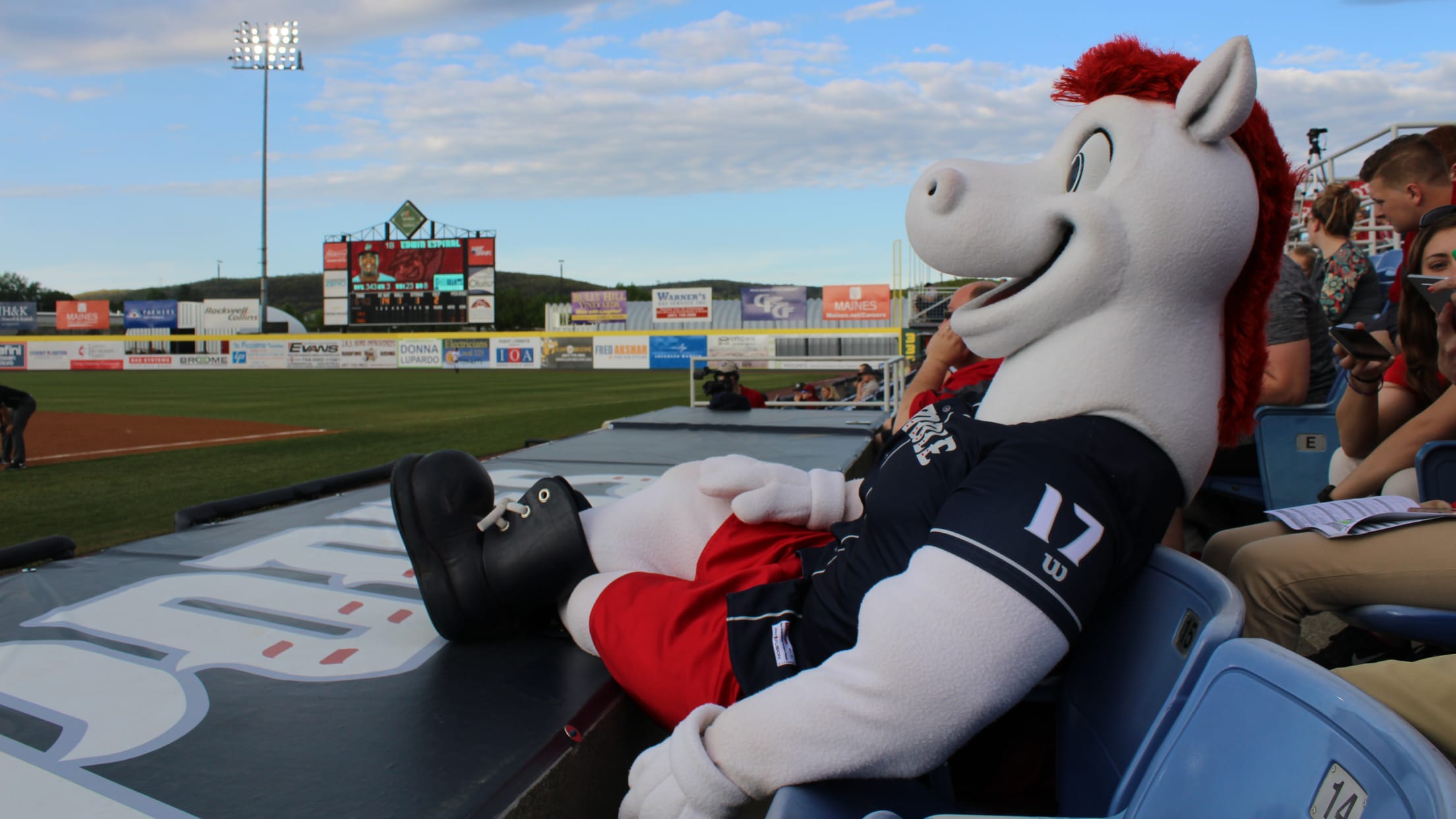 Home of the Binghamton Rumble Ponies - Picture of Mirabito Stadium