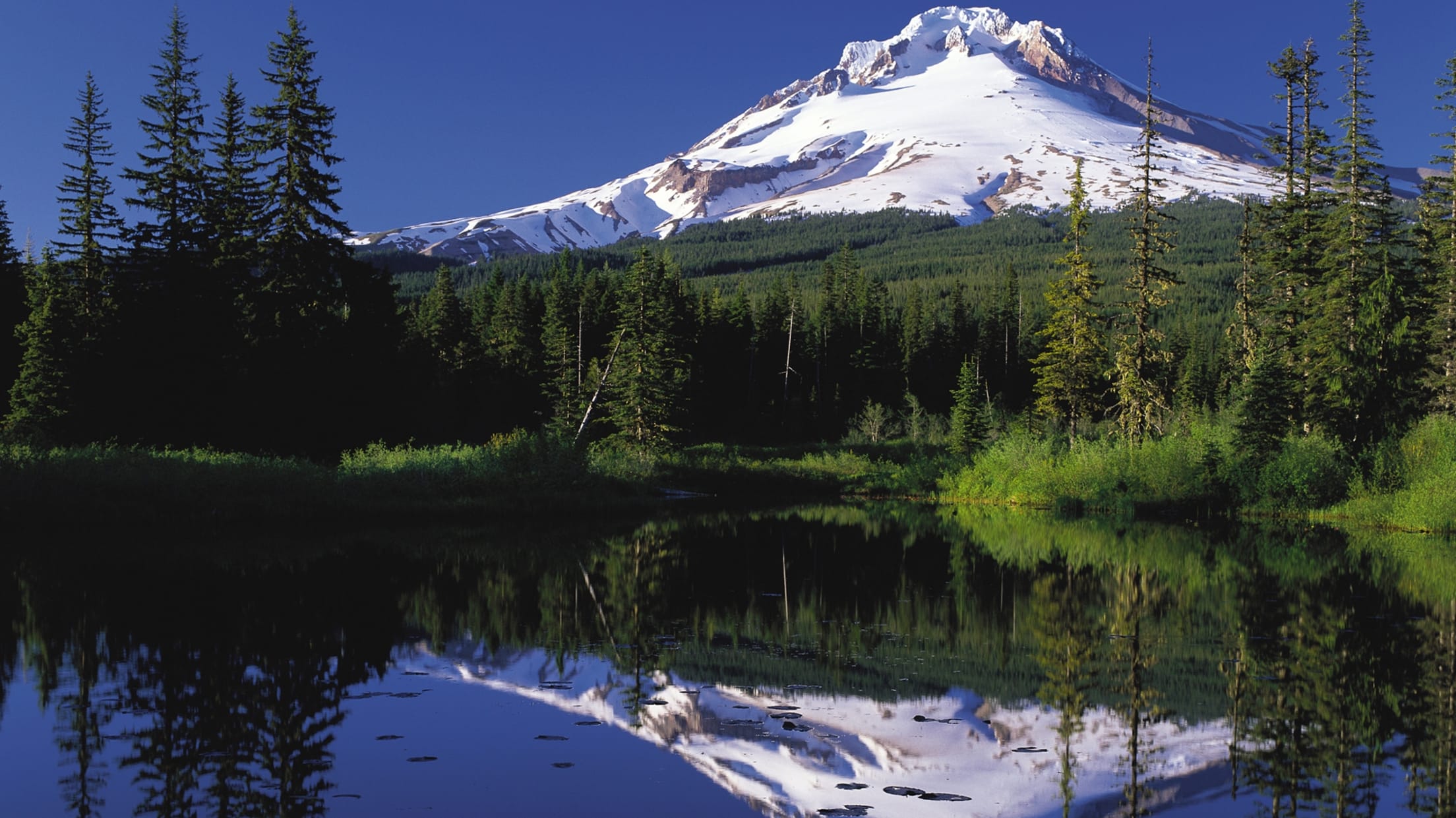 Mount Hood