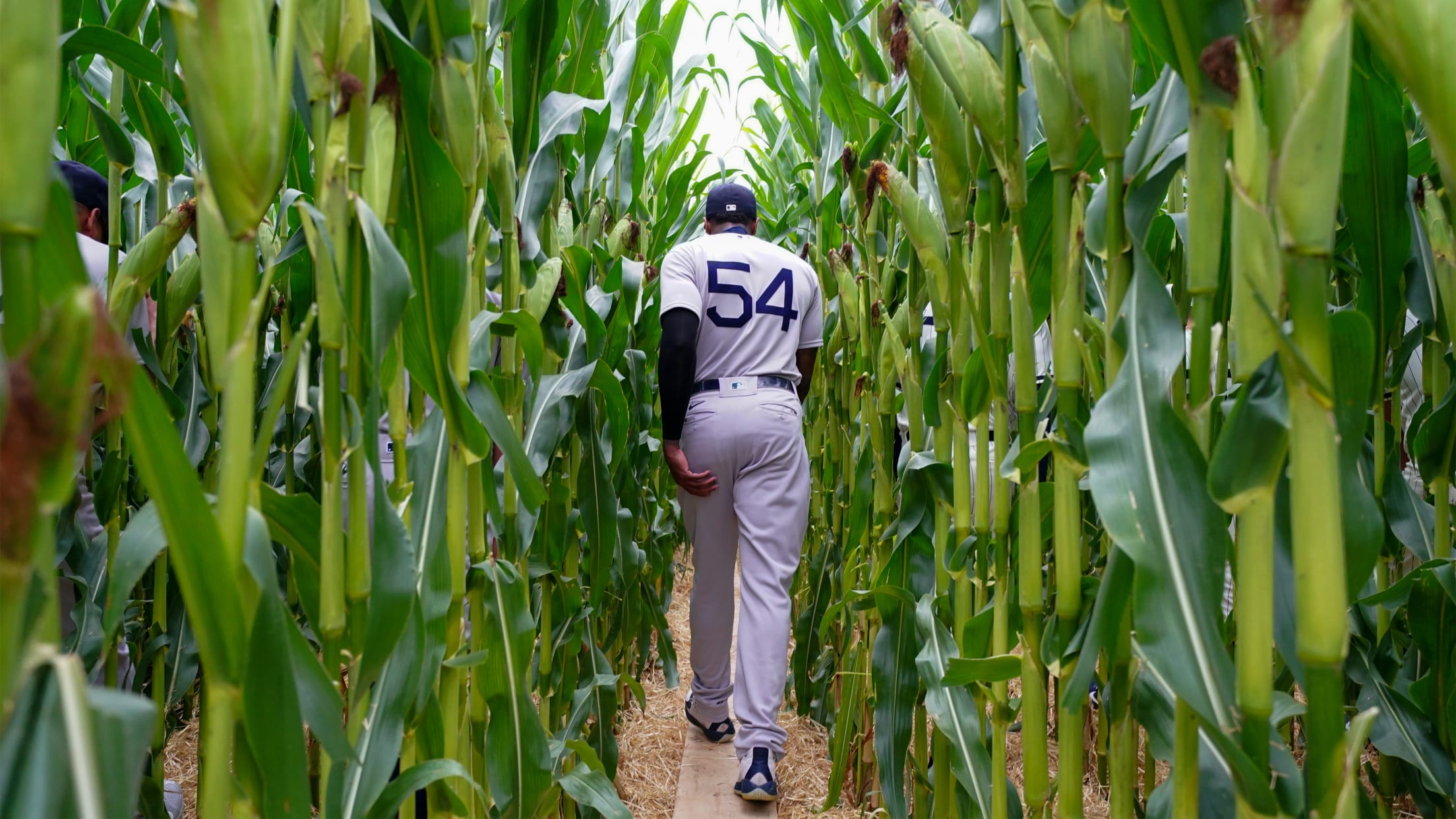 20210812DS_5867164-1