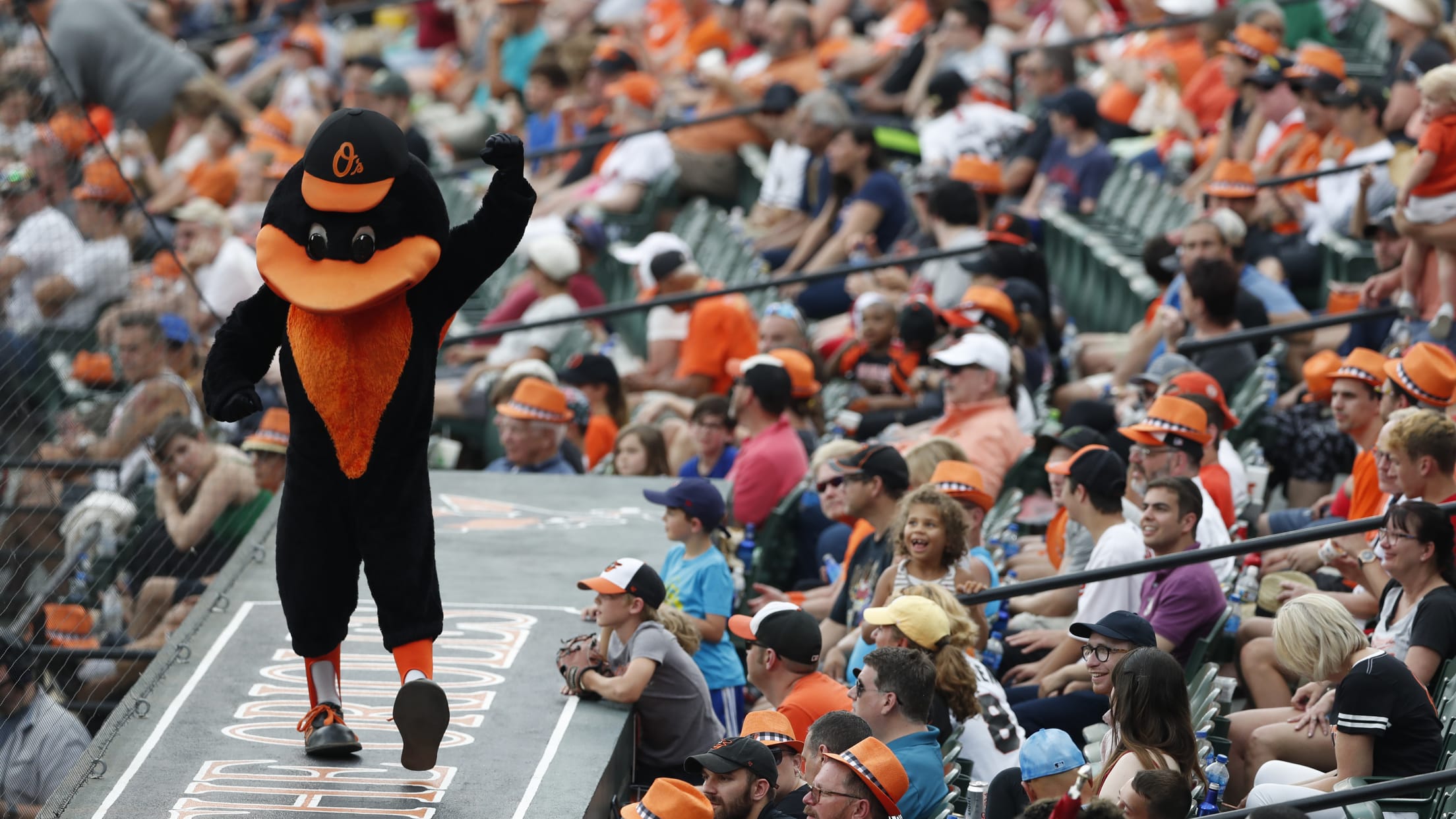 BALBirdlandInsider3_1920