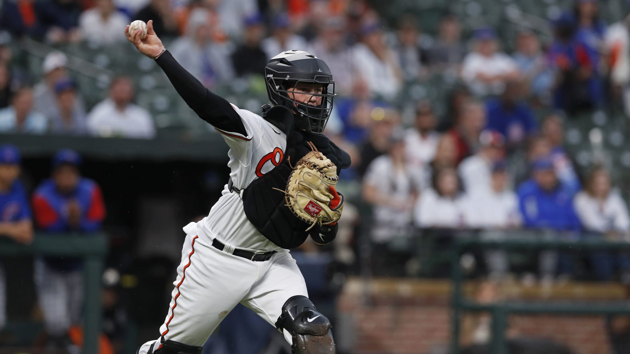 bal - Os_BI_20 Rutschman - 006