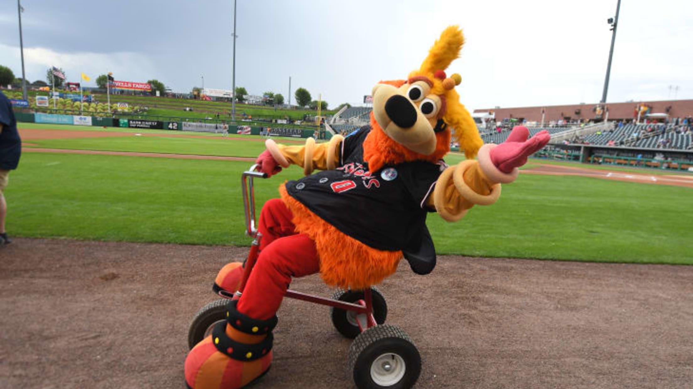 Visit Albuquerque's Rio Grande Credit Union Field at Isotopes Park