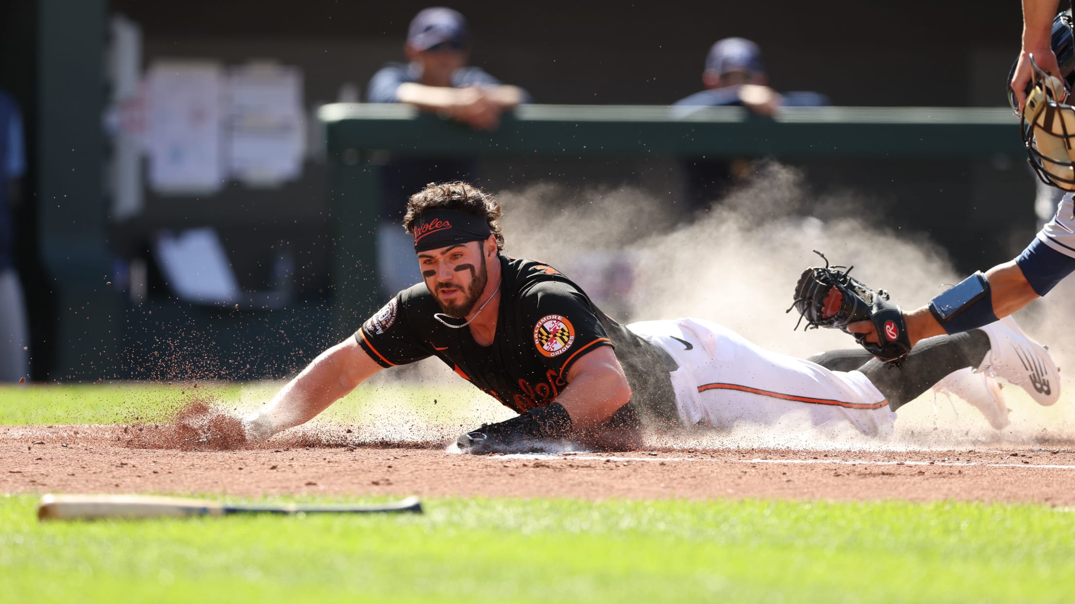 Homestand in Focus  617 - 622-013