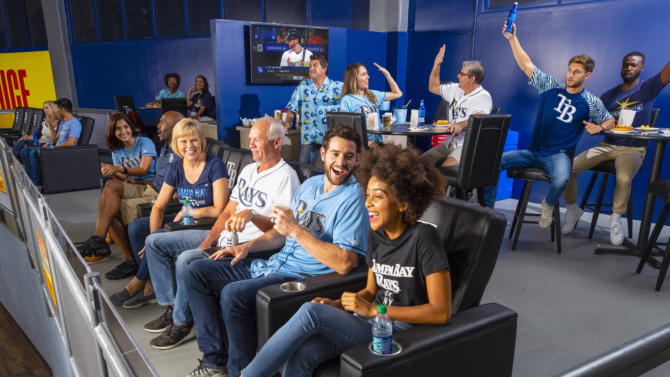 Baseball Game in Tampa Bay Rays Private Suite at Tropicana Field