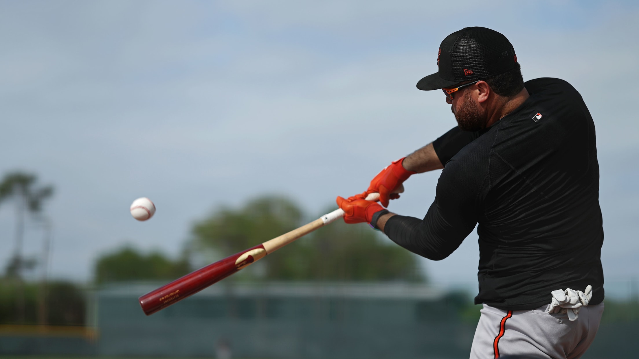 bal-spring-training-week-one-086