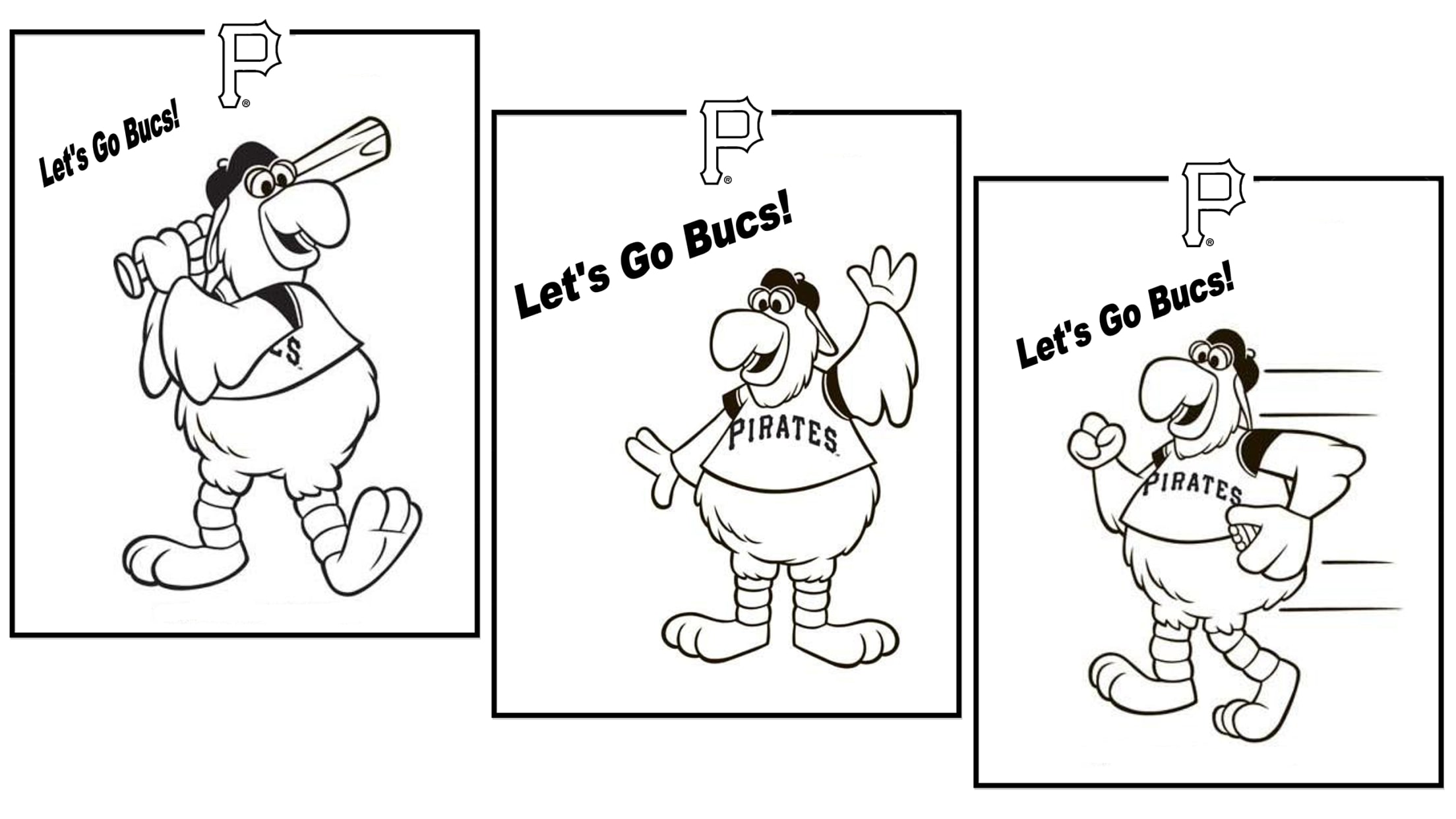 The Pirate Parrot | Pittsburgh Pirates