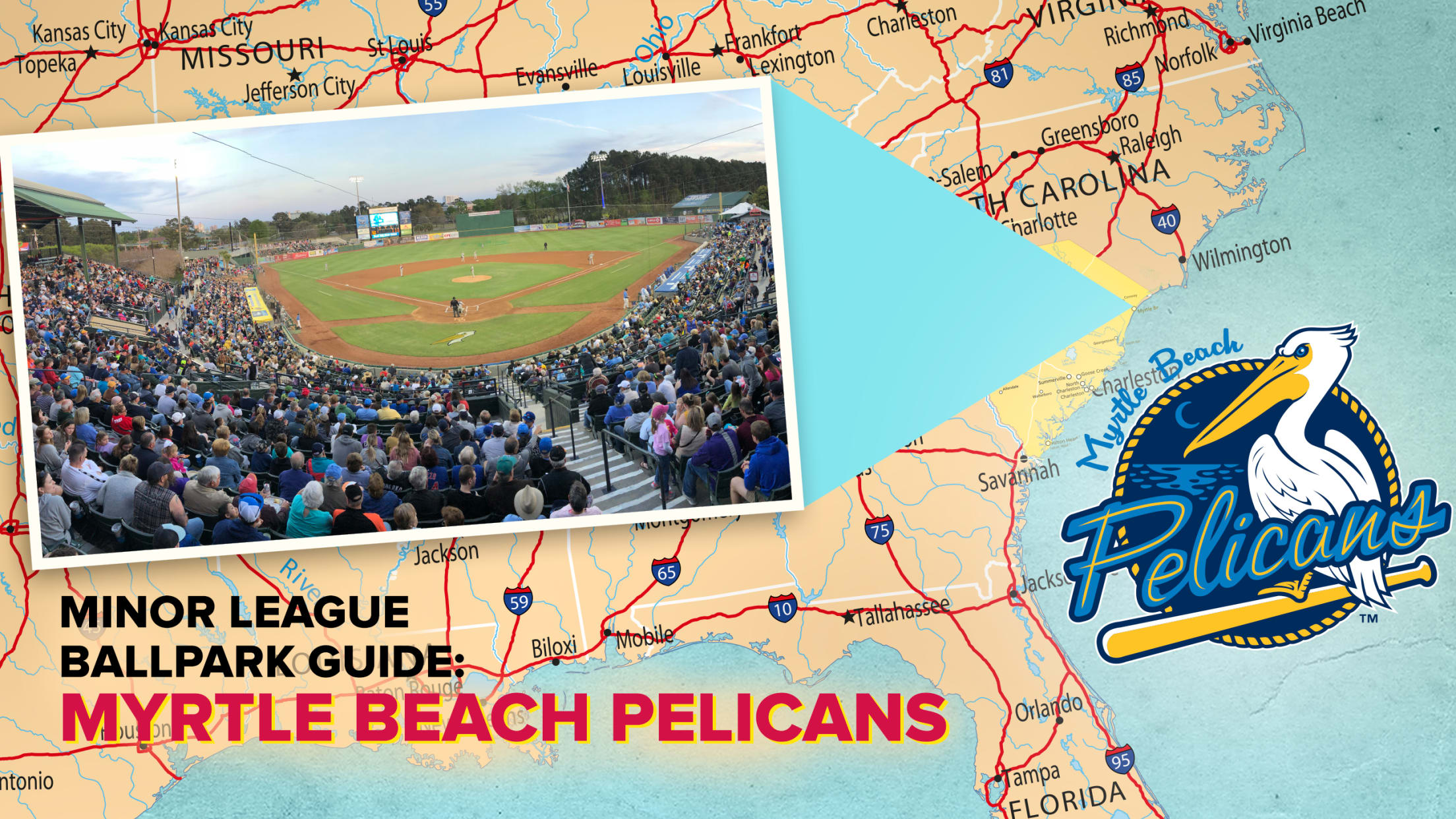 Pick Your Card 2019 Myrtle Beach Pelicans Team Card Set Chicago Cubs