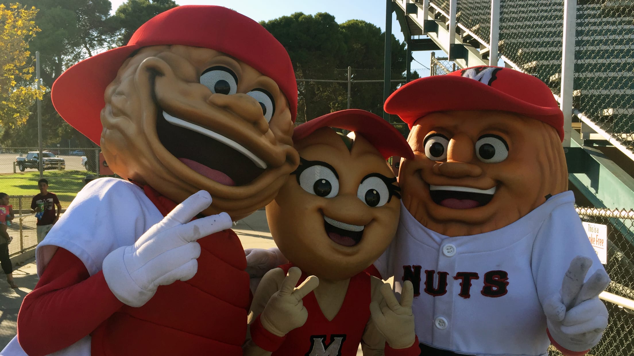 Visit the John Thurman Field Home of Modesto Nuts Nevada News