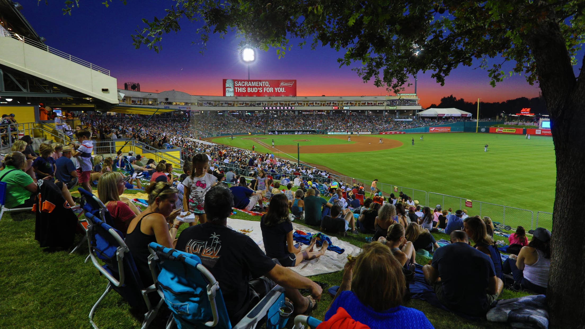 JERSEY CREAM GIANTS, SACRAMENTO RIVER CATS