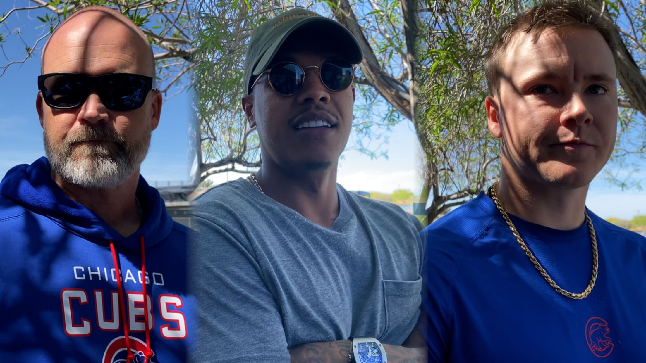 chicago cubs