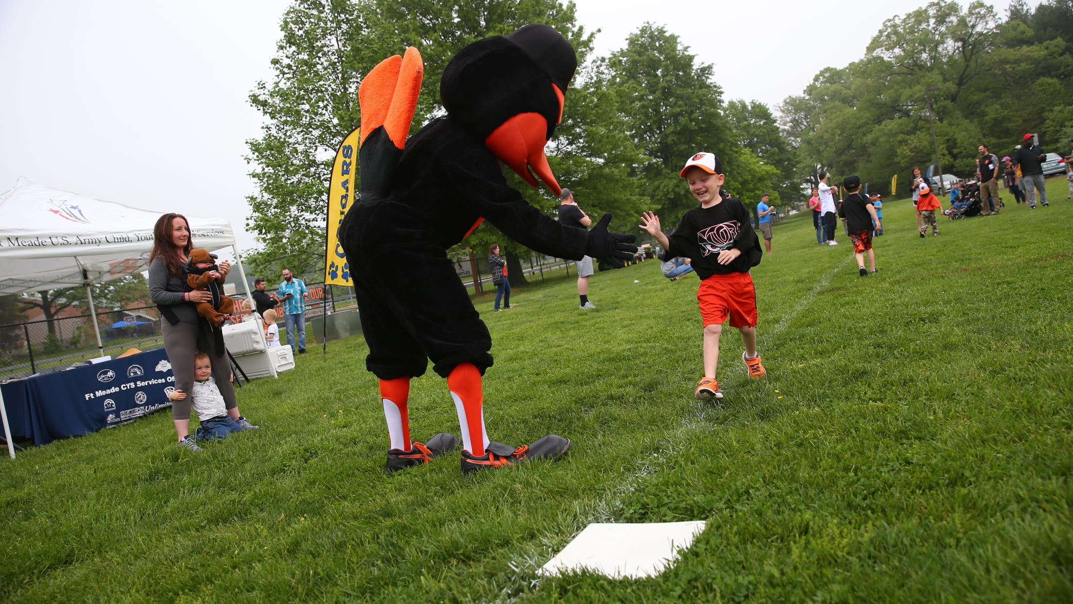 Veterans Day Special