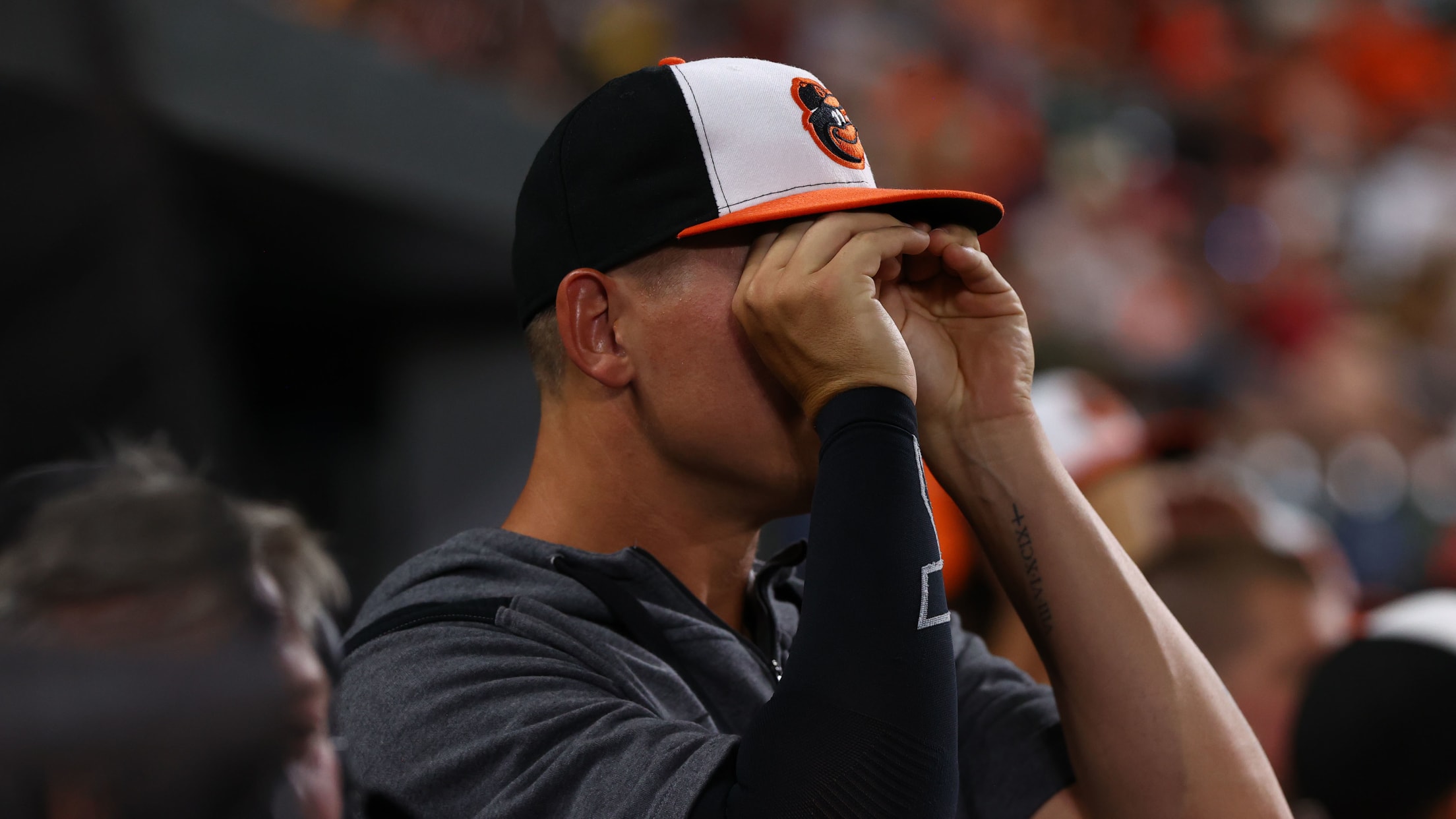 Homestand in Focus  617 - 622-032