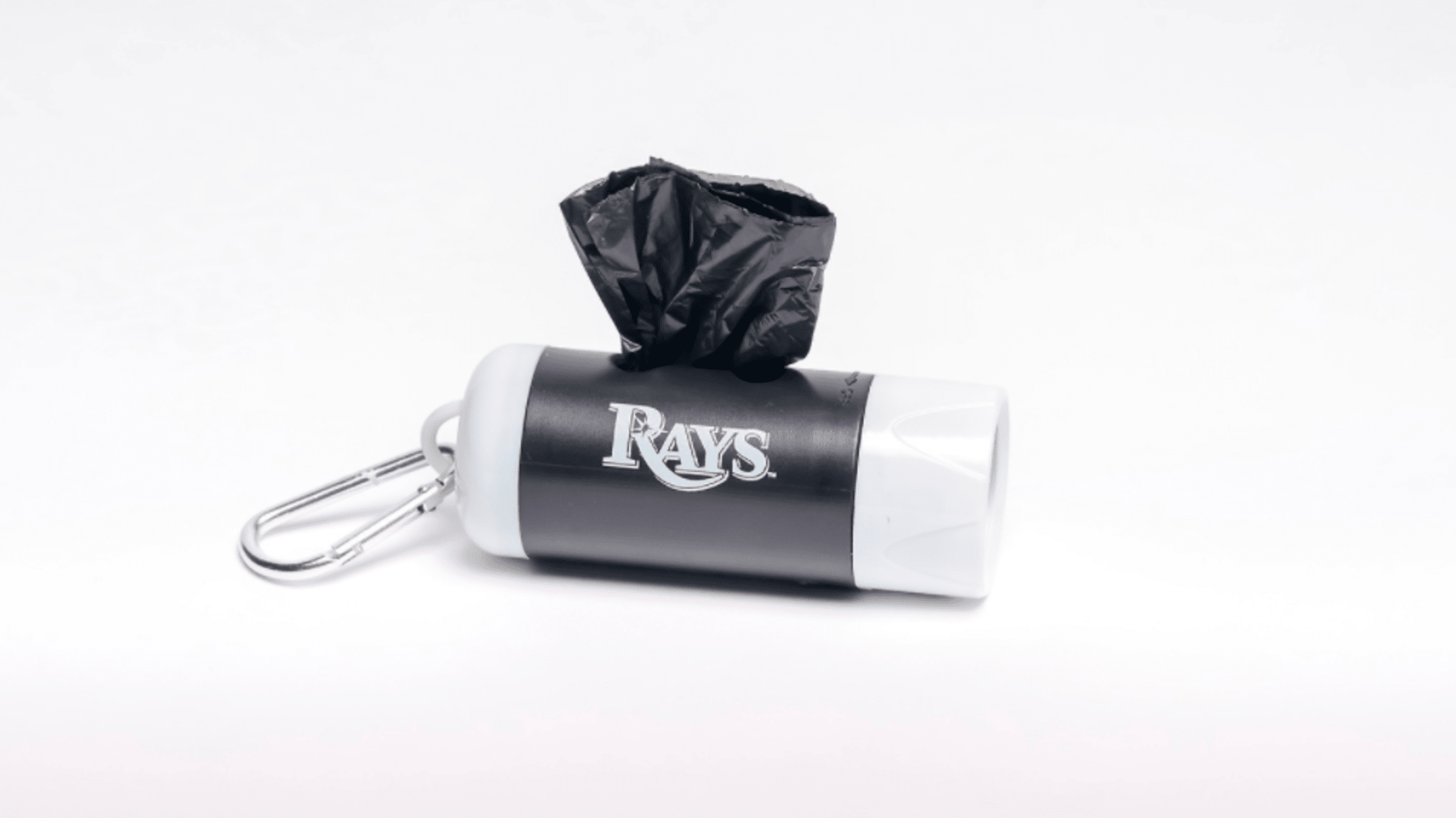 Dog Day at the Rays Tampa Bay Rays