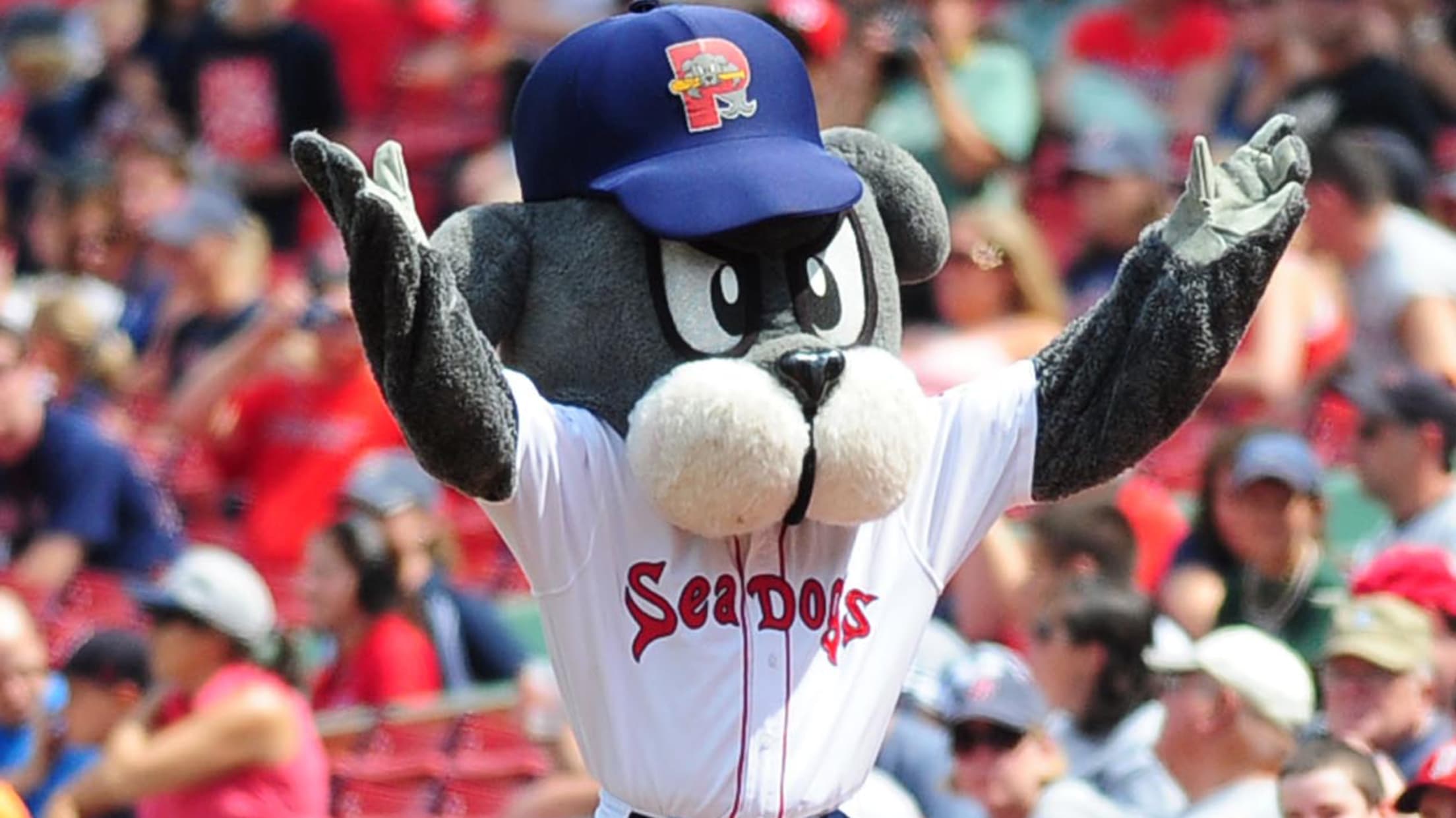 New mascot debuts before Portland Sea Dogs game