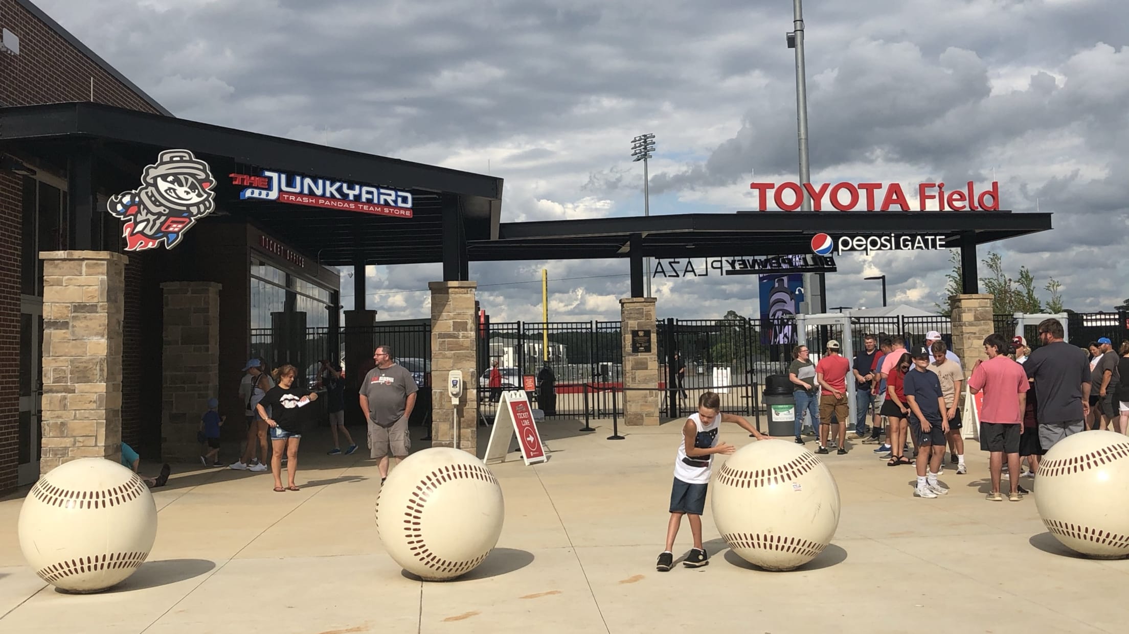 Trash Pandas Youth Baseball Association, Sports team