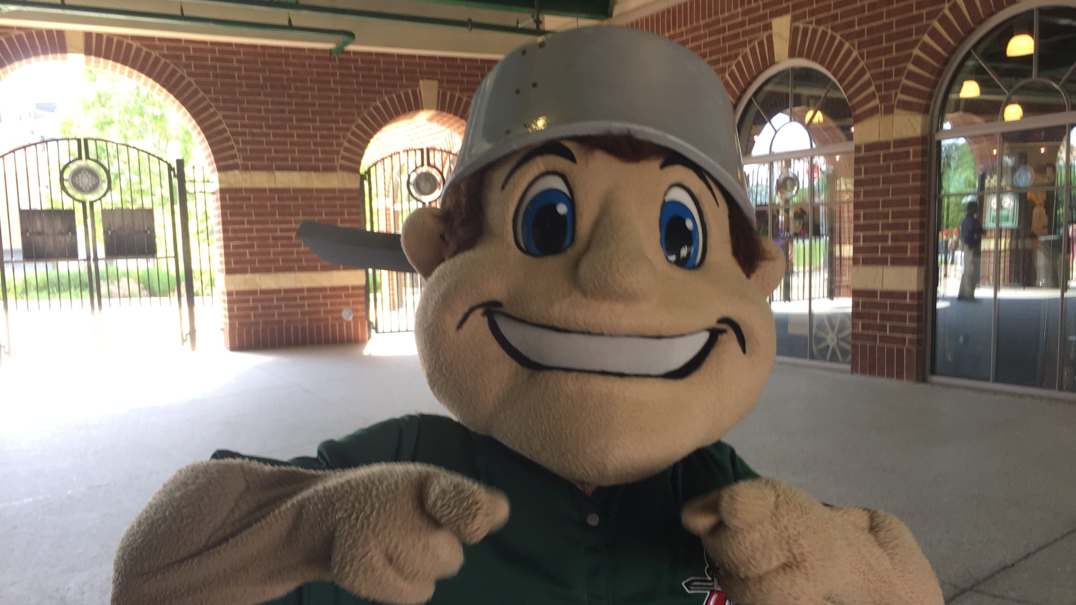 Fort Wayne TinCaps Plush Baseball