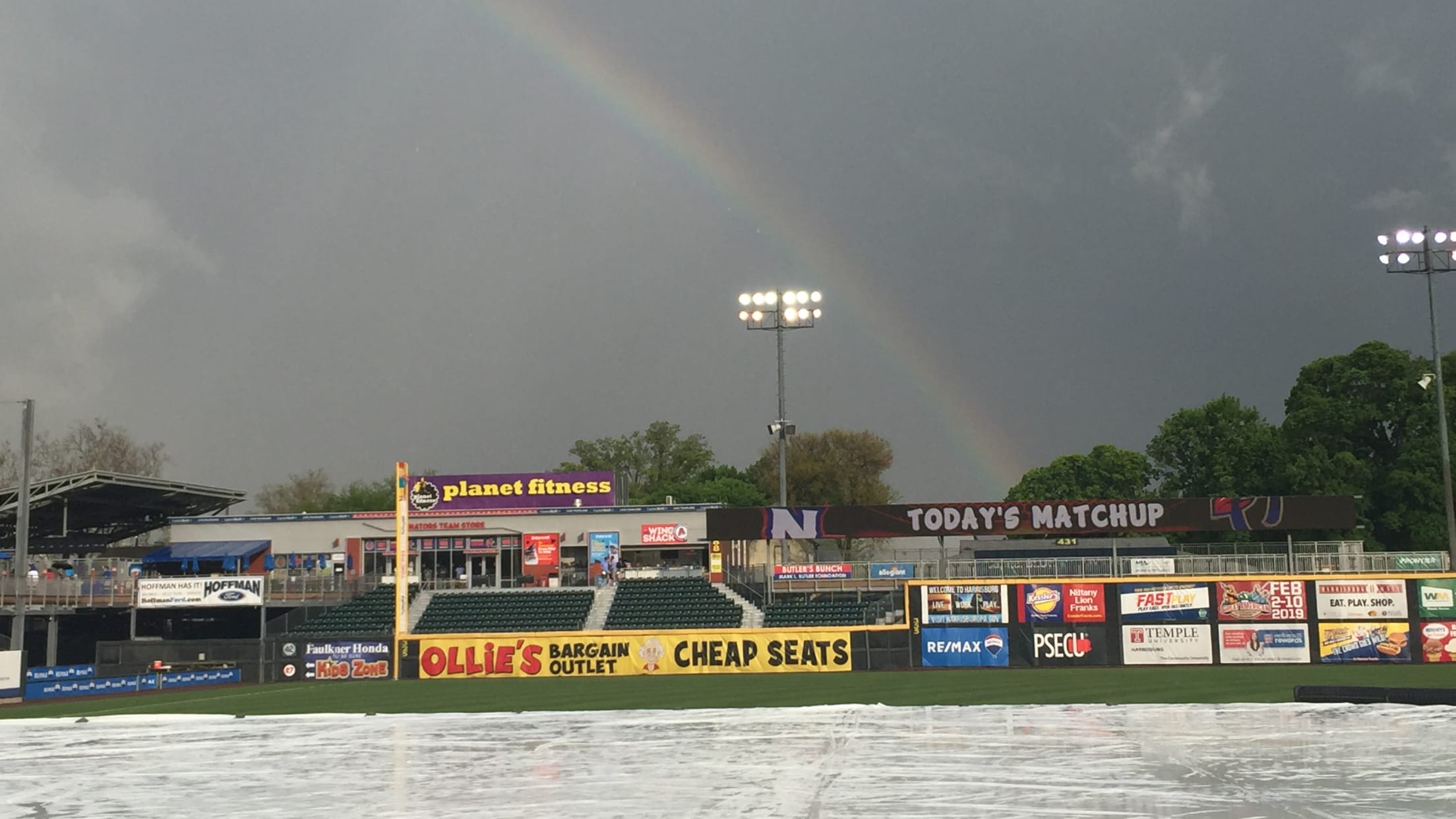 Harrisburg Senators Official Store