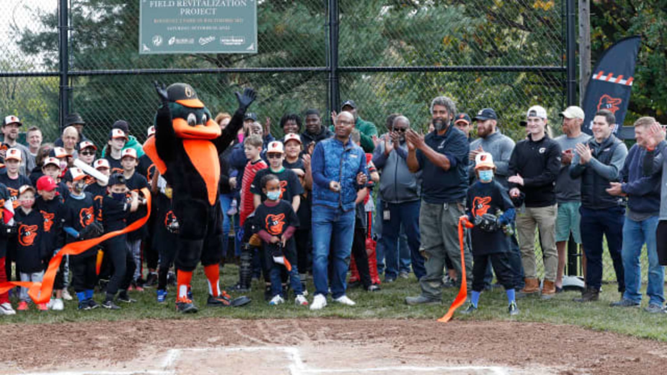 Field Revitalization 1