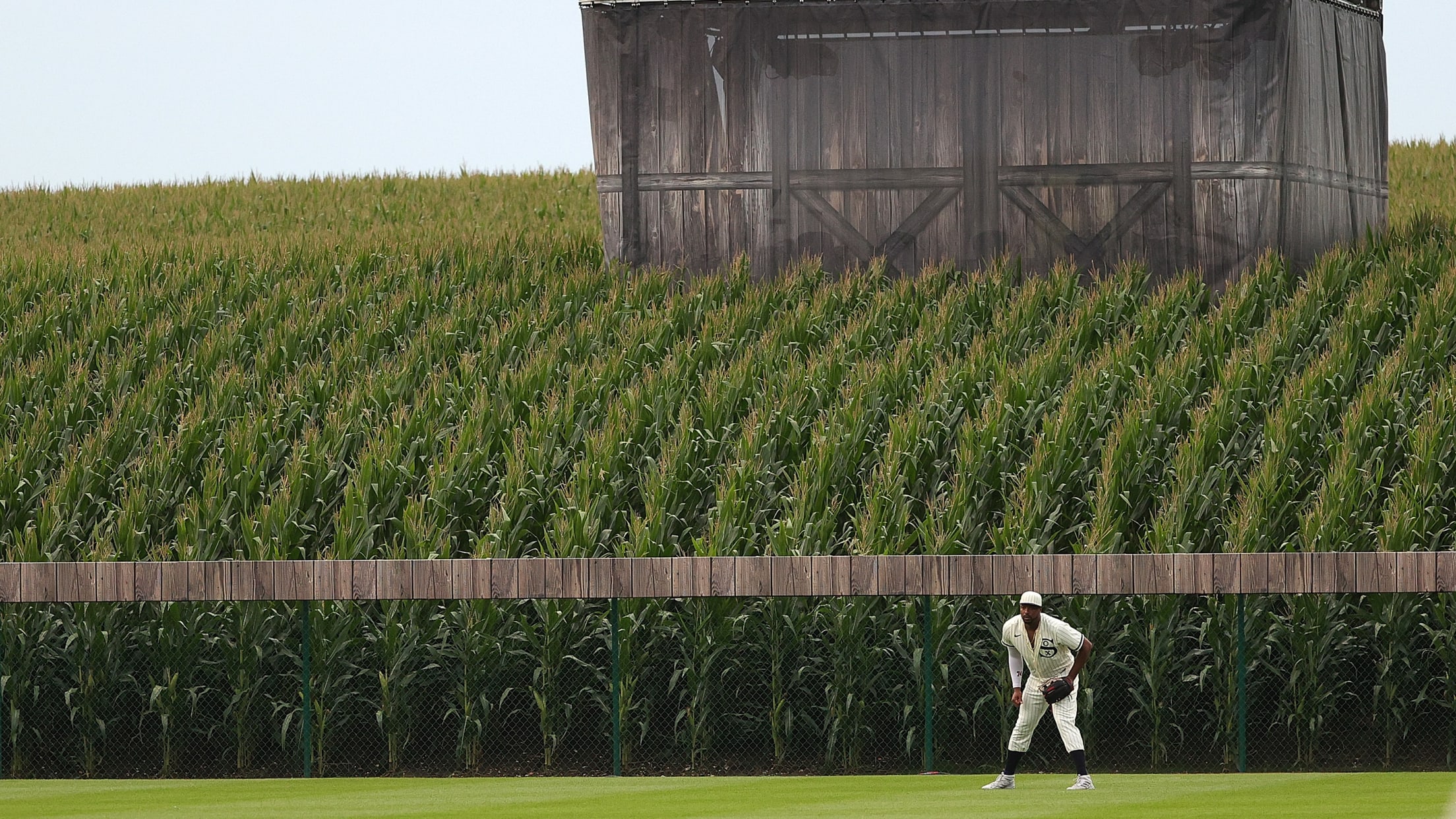 Field of Dreams Digital Background Baseball Photography 