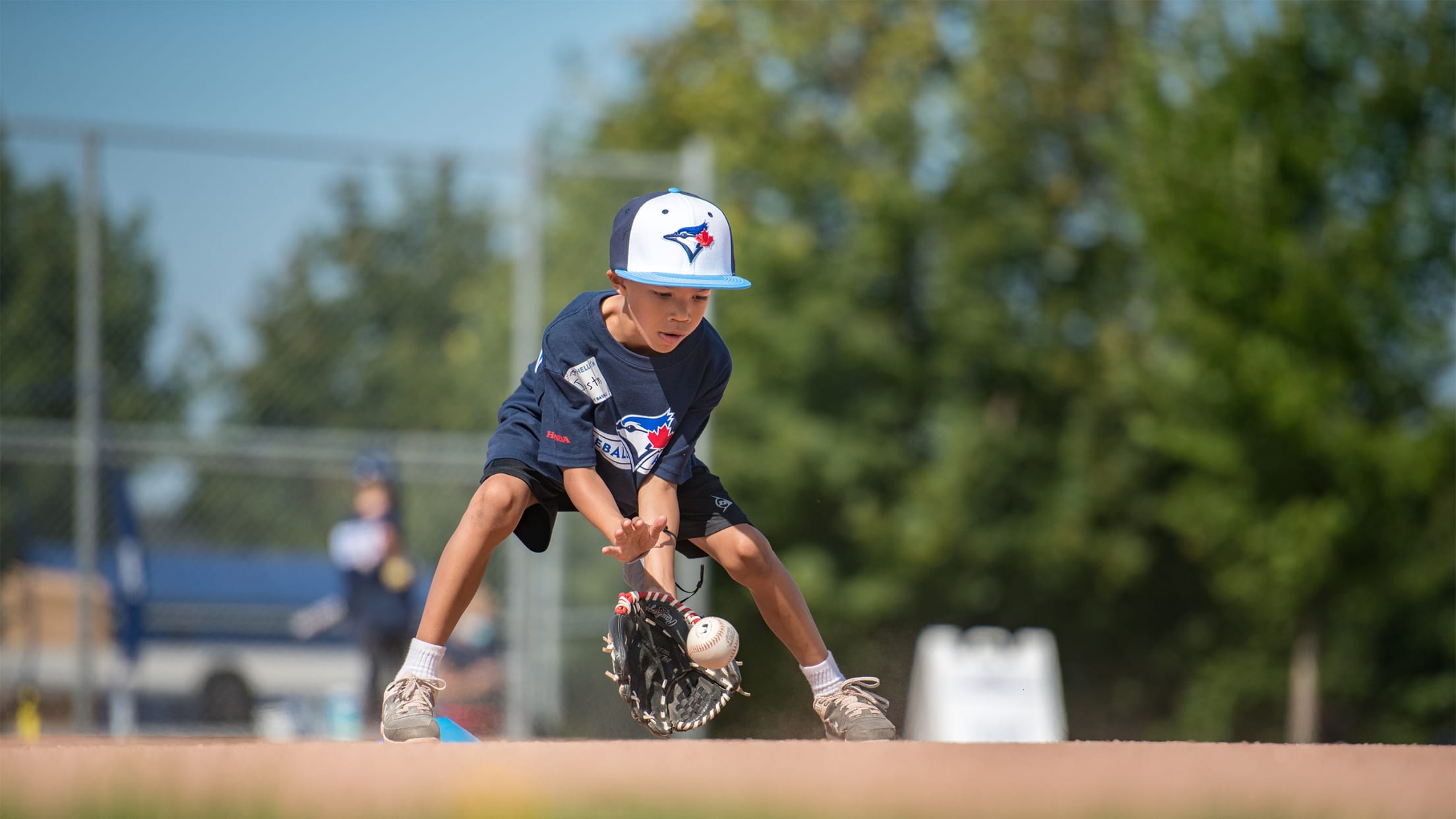 Baseball Academy  Toronto Blue Jays