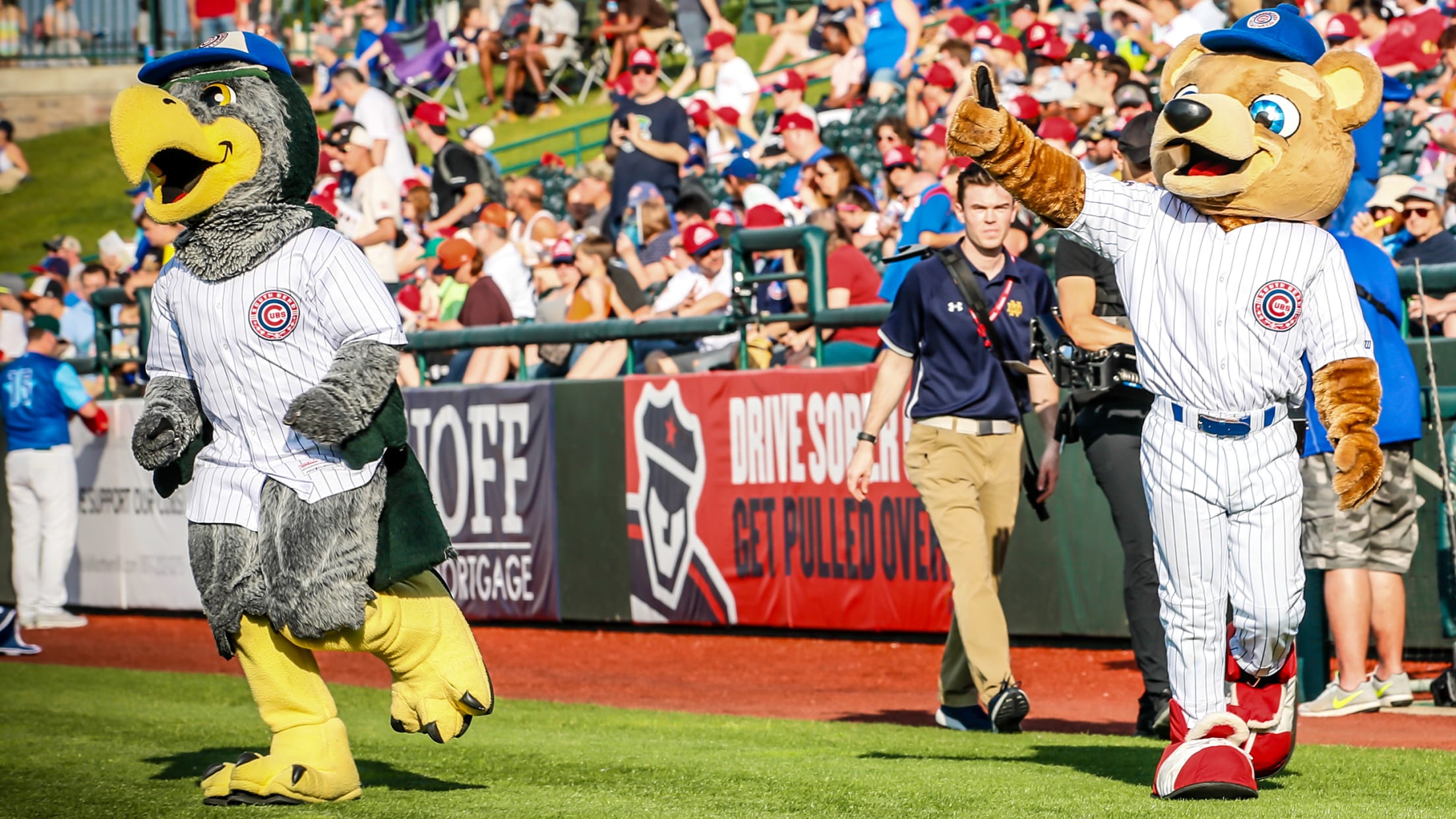 South Bend, Indiana, USA. 27th July, 2017. South Bend Cubs mascot Stu  during MILB game action between the South Bend Cubs and the Lake County  Captains at Four Winds Field in South