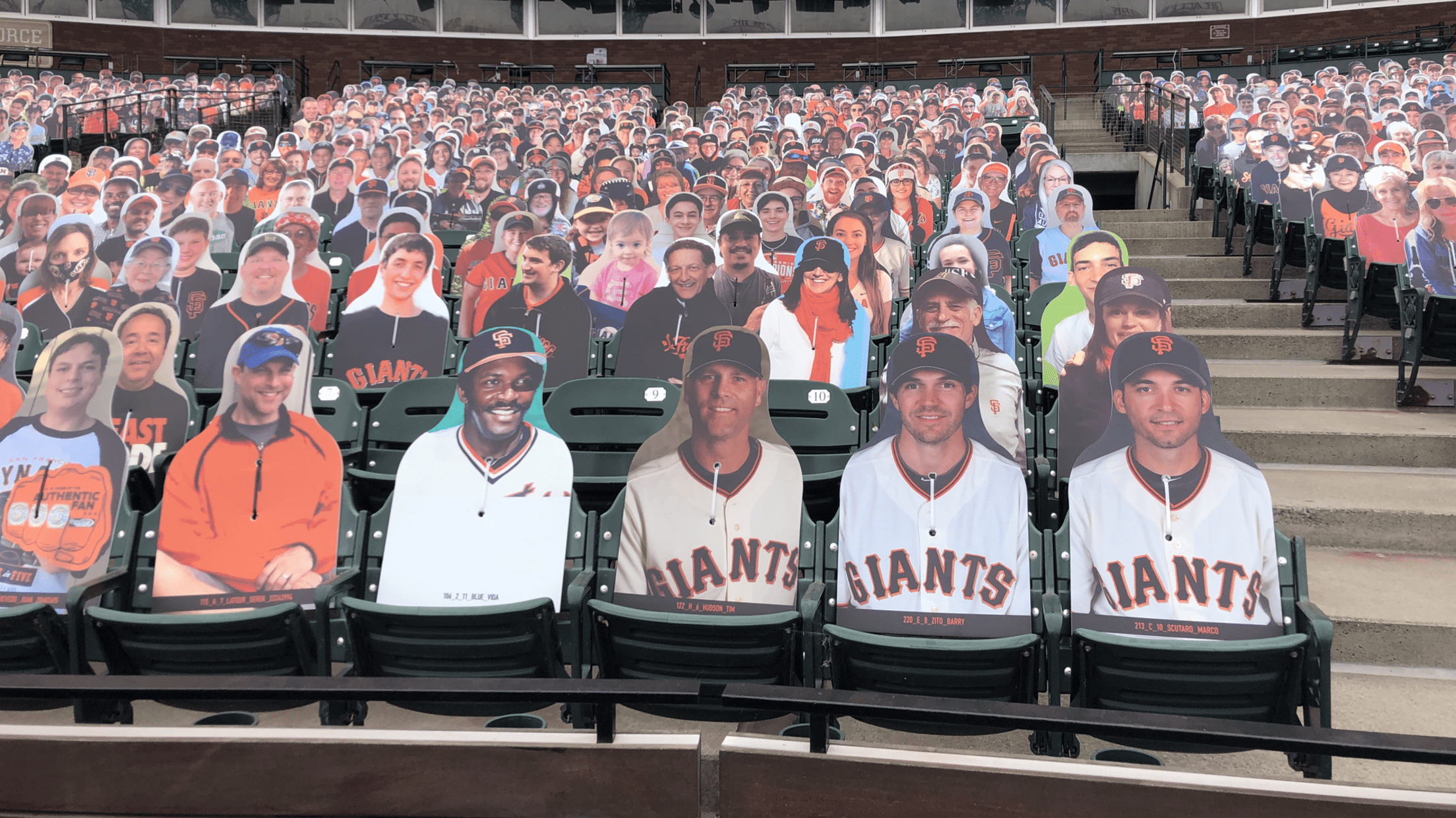 World Series: S.F. Giants, Detroit Tigers' Celebrity Fans – The