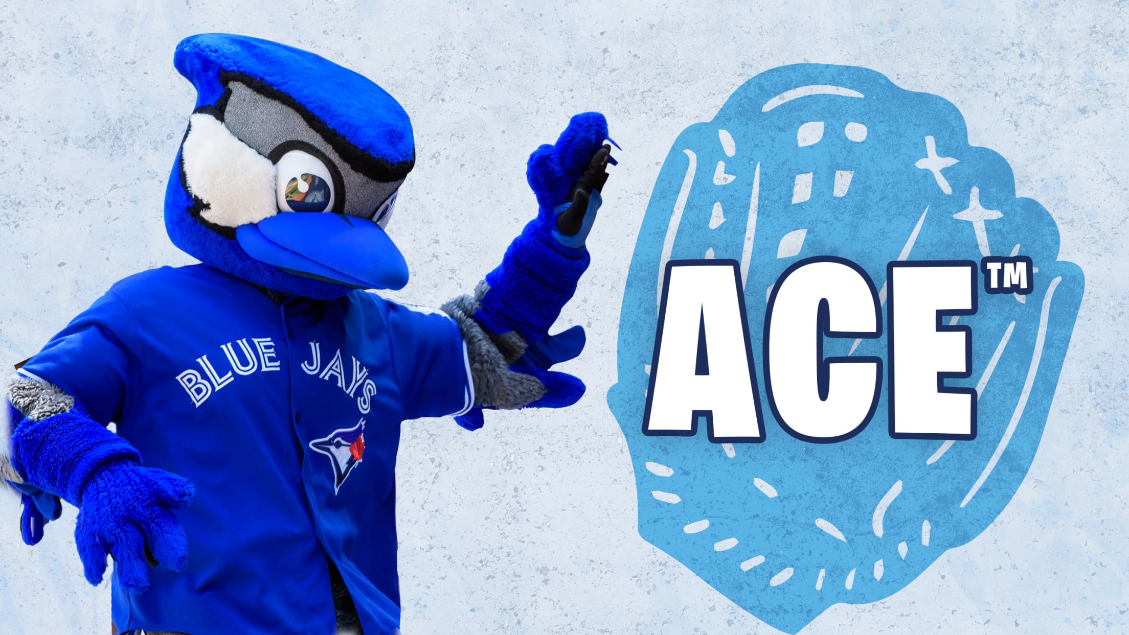 toronto blue jays mascot