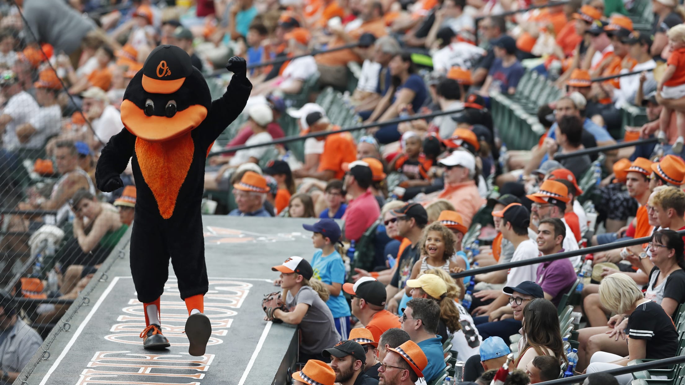 Put a bird on that kid: My mission to raise an Orioles fan in