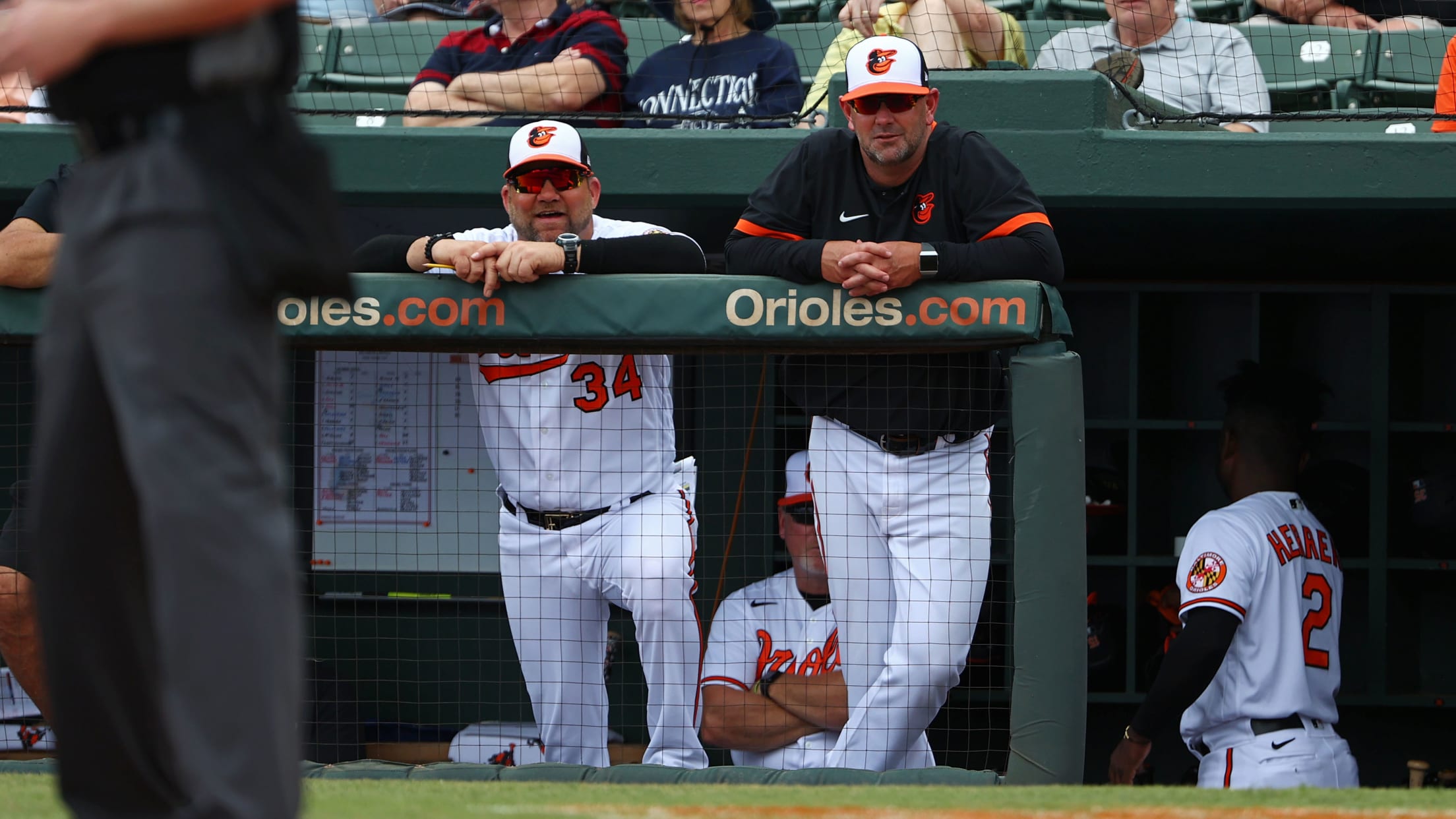 bal-hyde-and-cossins-004