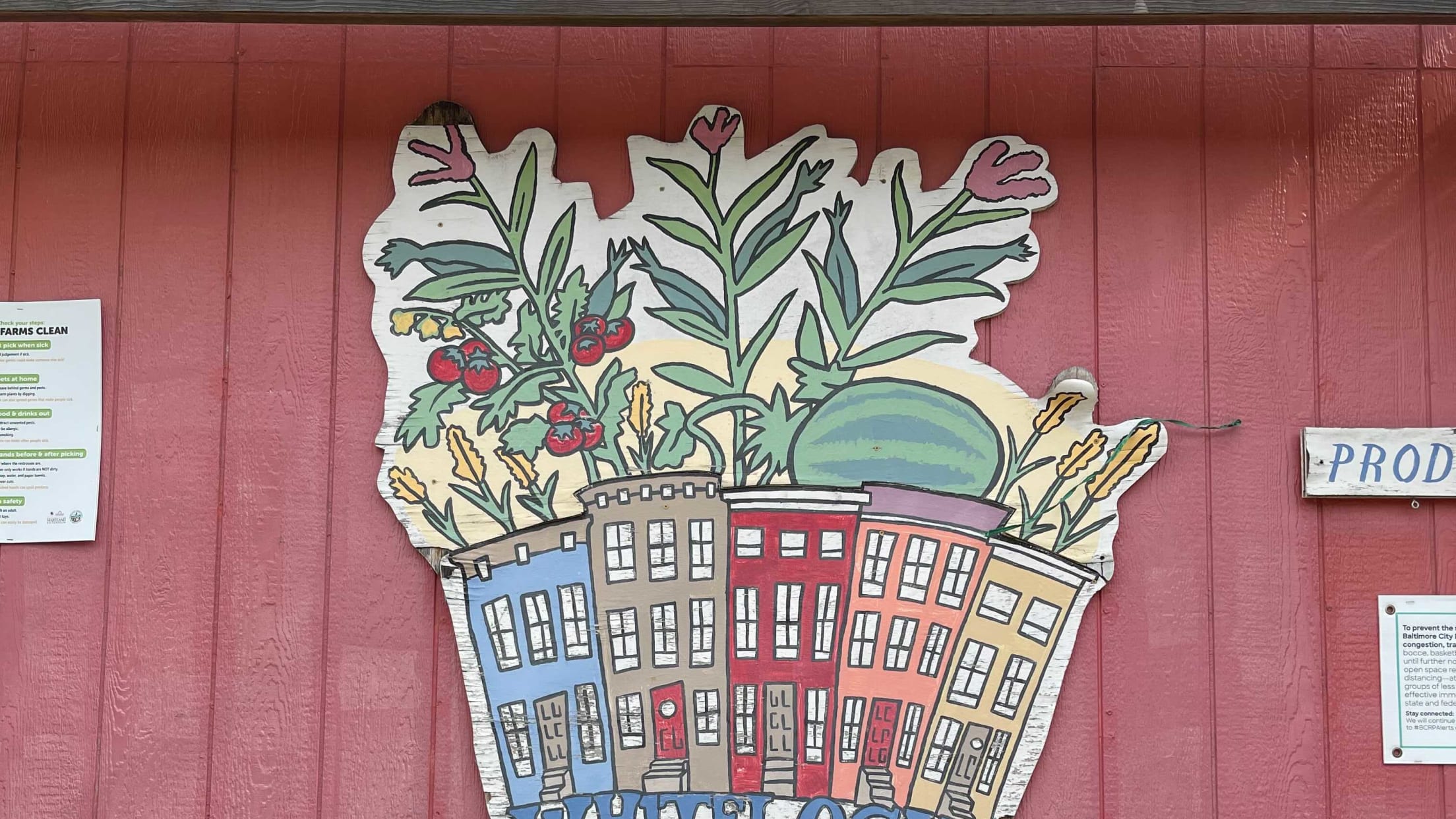 bal-whitelock-community-farm-2